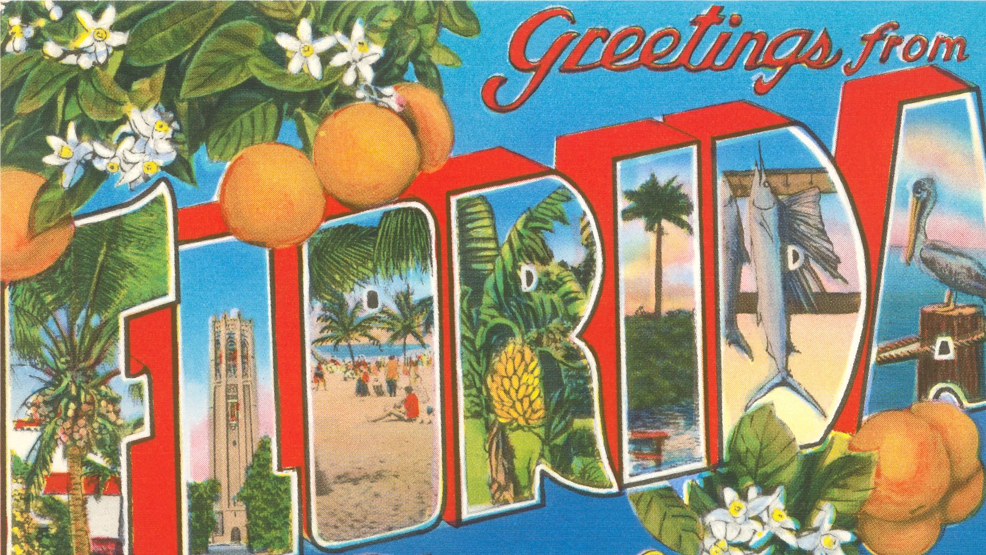 Old postcard reading "greetings from Florida tropical wonderland" with orange blossoms