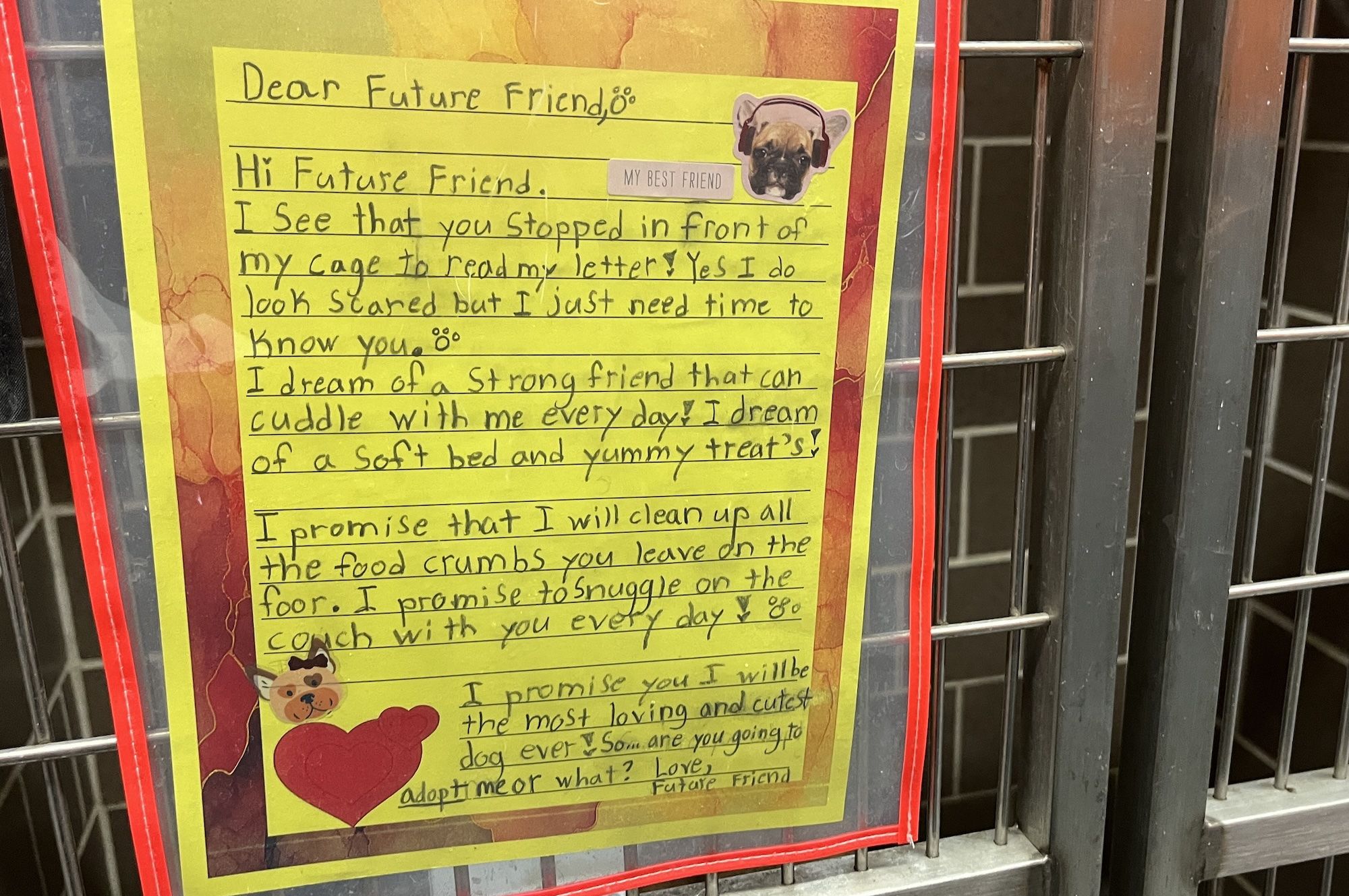 Handwritten bright yellow letter titled "Dear Future Friend" in a red frame on a metal cage door, with stickers of a dog with headphones and hearts, asking for a loving home.