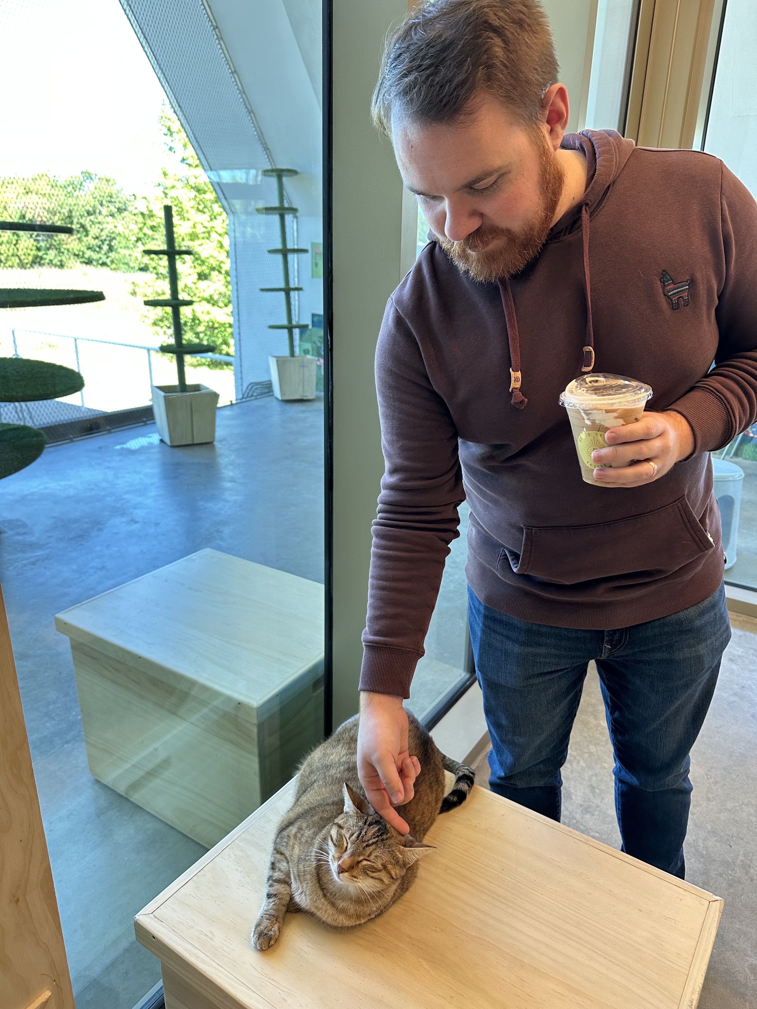 photo of man petting cat