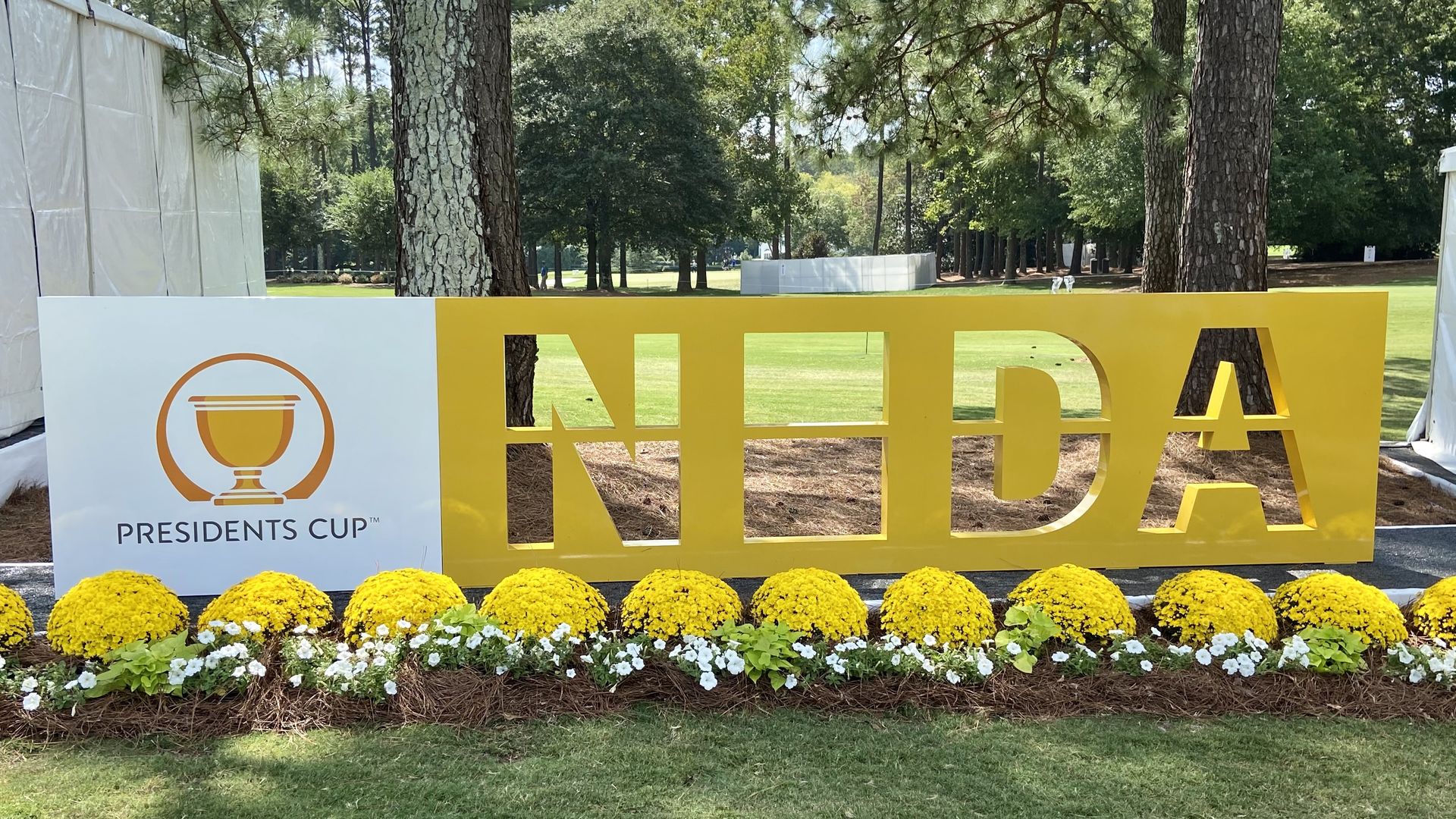 Sinage that reads "NoDa" in yellow in front of yellow flowers on a golf course