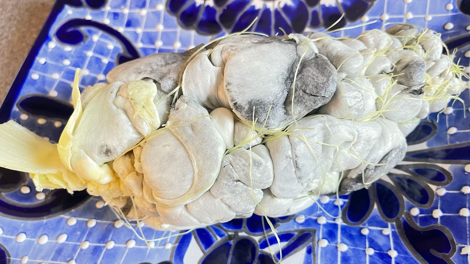 Huitlacoche, corn with a fungus on it