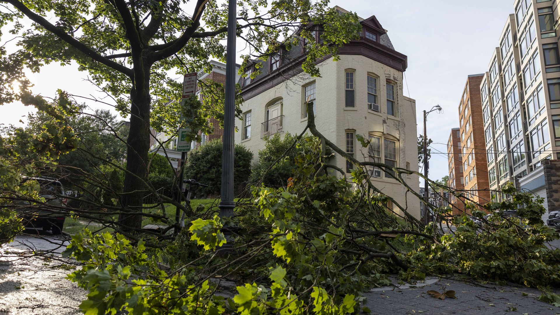  Tree branches littered the Woodley Park neighborhood following a storm in Washington, D.C