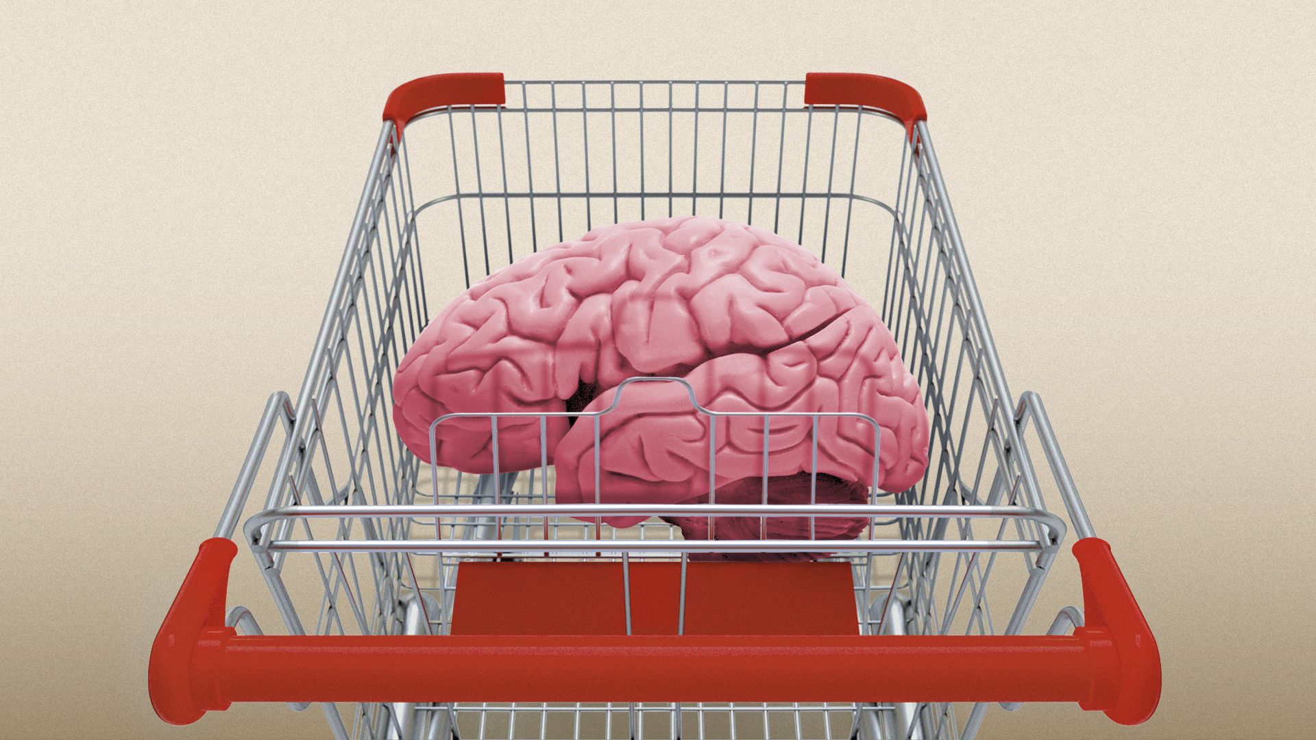 Illustration of a brain in a shopping cart.