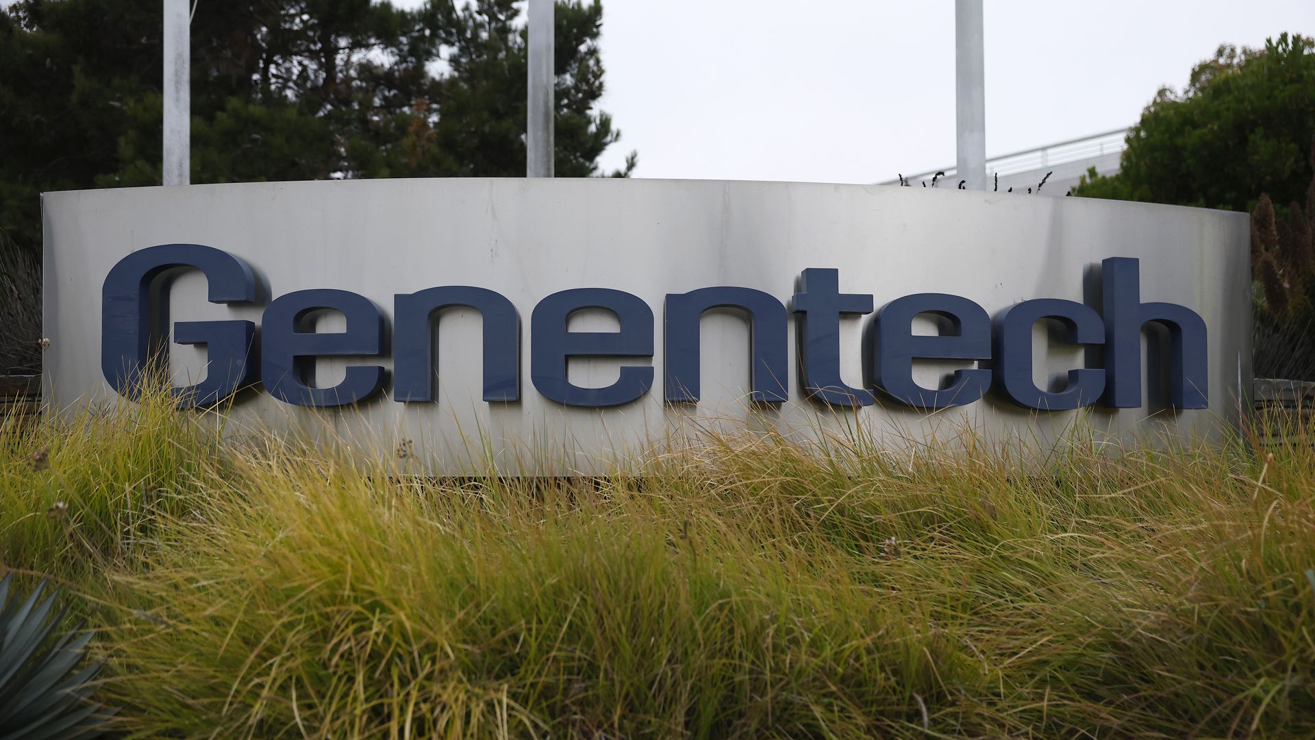 SOUTH SAN FRANCISCO, CALIFORNIA - JUNE 12: A sign is posted in front of a Genentech office on June 12, 2025 in South San Francisco, California. Biotechnology corporation Genentech is reportedly laying off over 140 workers in the drugmaker's third round of layoffs since April 2024. (Photo by Justin S