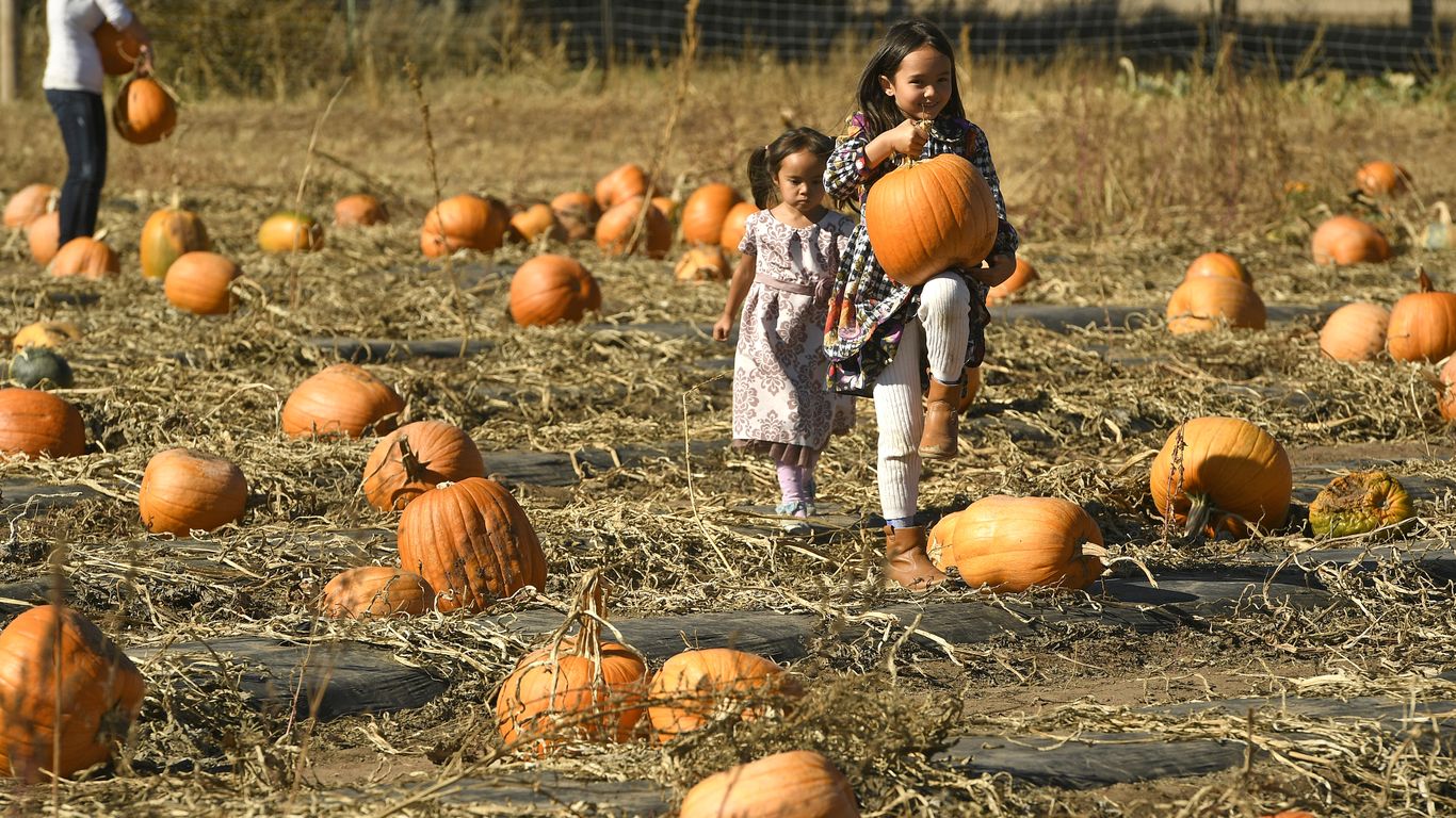 10 things to do in Colorado with kids this fall