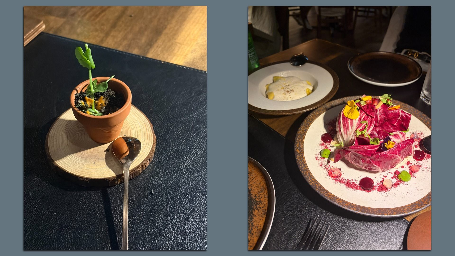 Two side-by-side photos: left a small terracotta pot with a sprouting plant on a wooden coaster; right a plated dish of radicchio with edible flowers and colorful sauces at a dark-table restaurant setting.