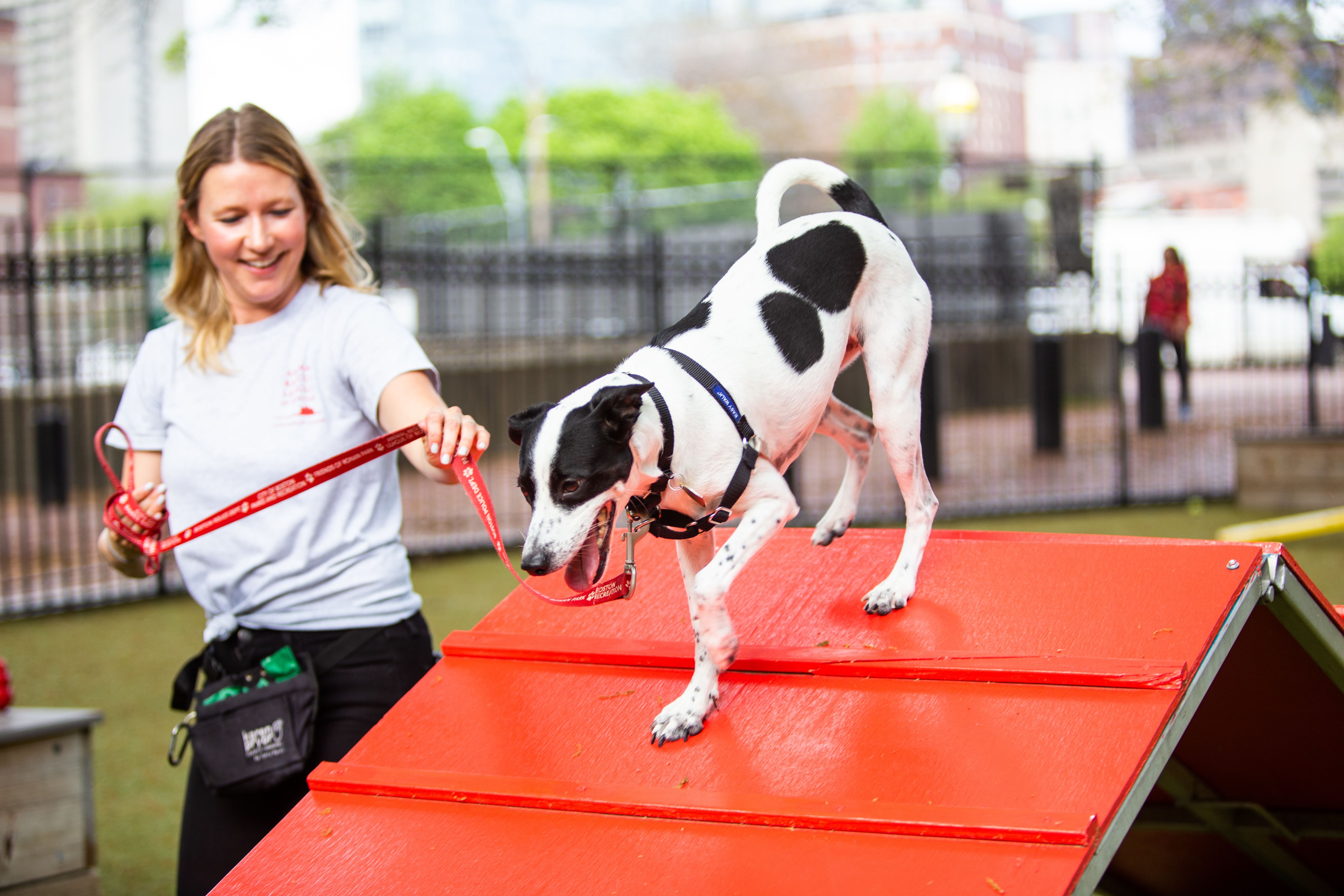 women guides a dog down a red ramp