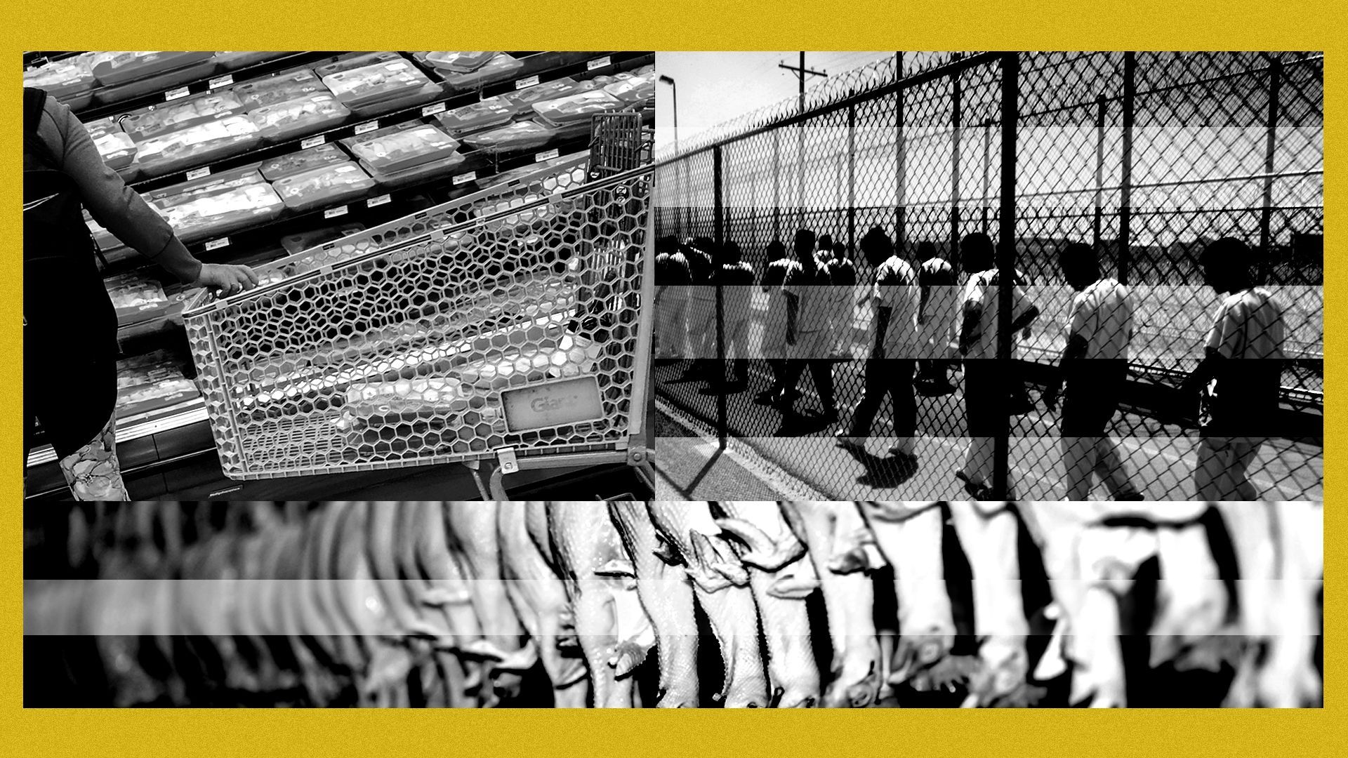 Photo illustration of a woman with a shopping cart, detainees at an ICE detention center, and row of chickens at a chicken processing plant all formed stylistically to represent the American flag