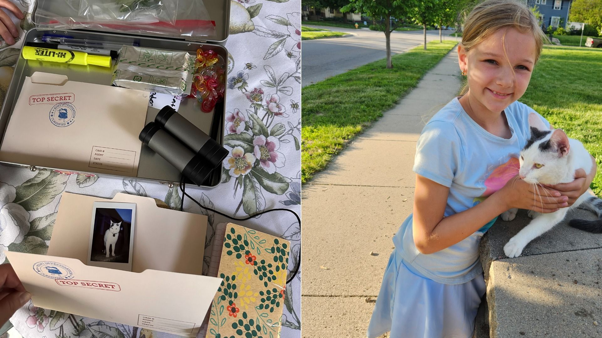 A photo of a cat detective.