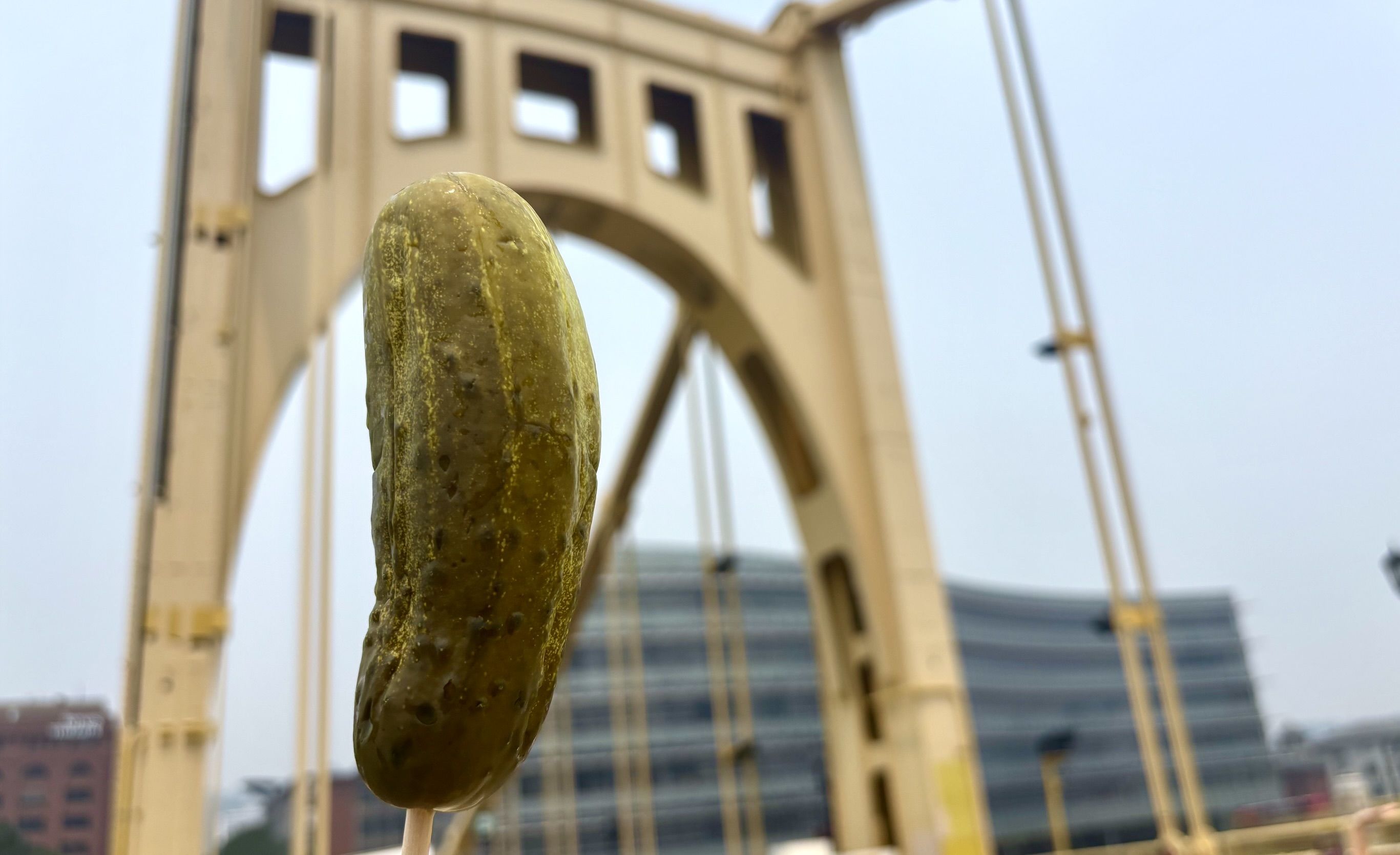 Close-up of a pickle on a stick in the foreground, with a blurred beige-yellow suspension bridge against a light blue sky in the background.