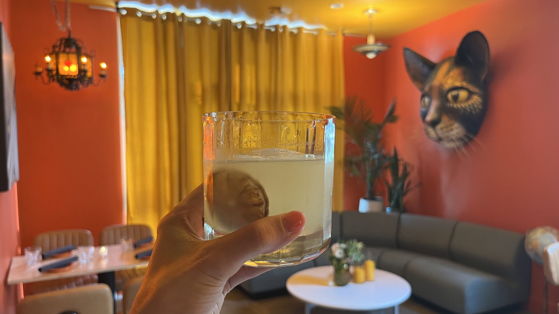 Hand holds a short glass with pale yellow cocktail and lemon slice, in a bright room with red walls, yellow ceiling, curtains, a cat mural, plants, and a curved gray sofa around a white table.