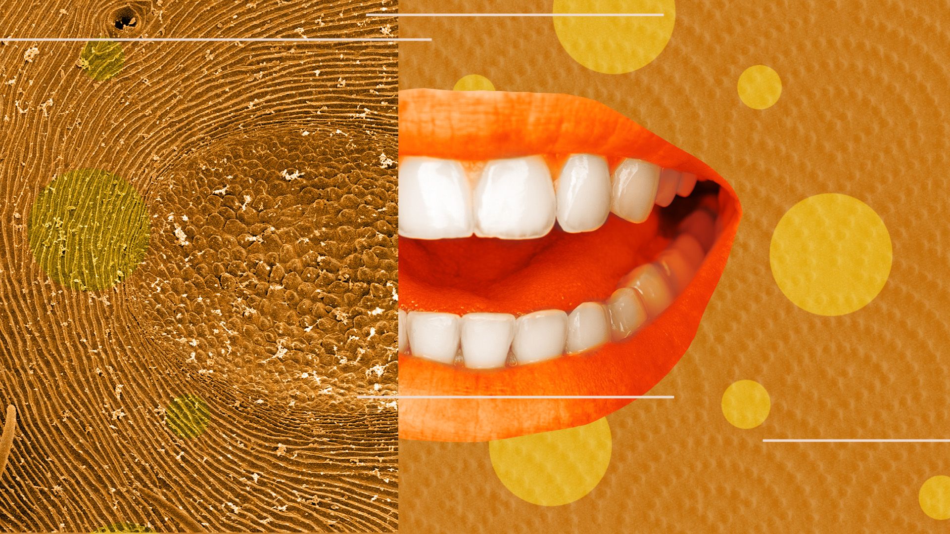 Illustrated collage of a talking mouth on a textured background surrounded by abstract lines and microscopic cell imagery. 