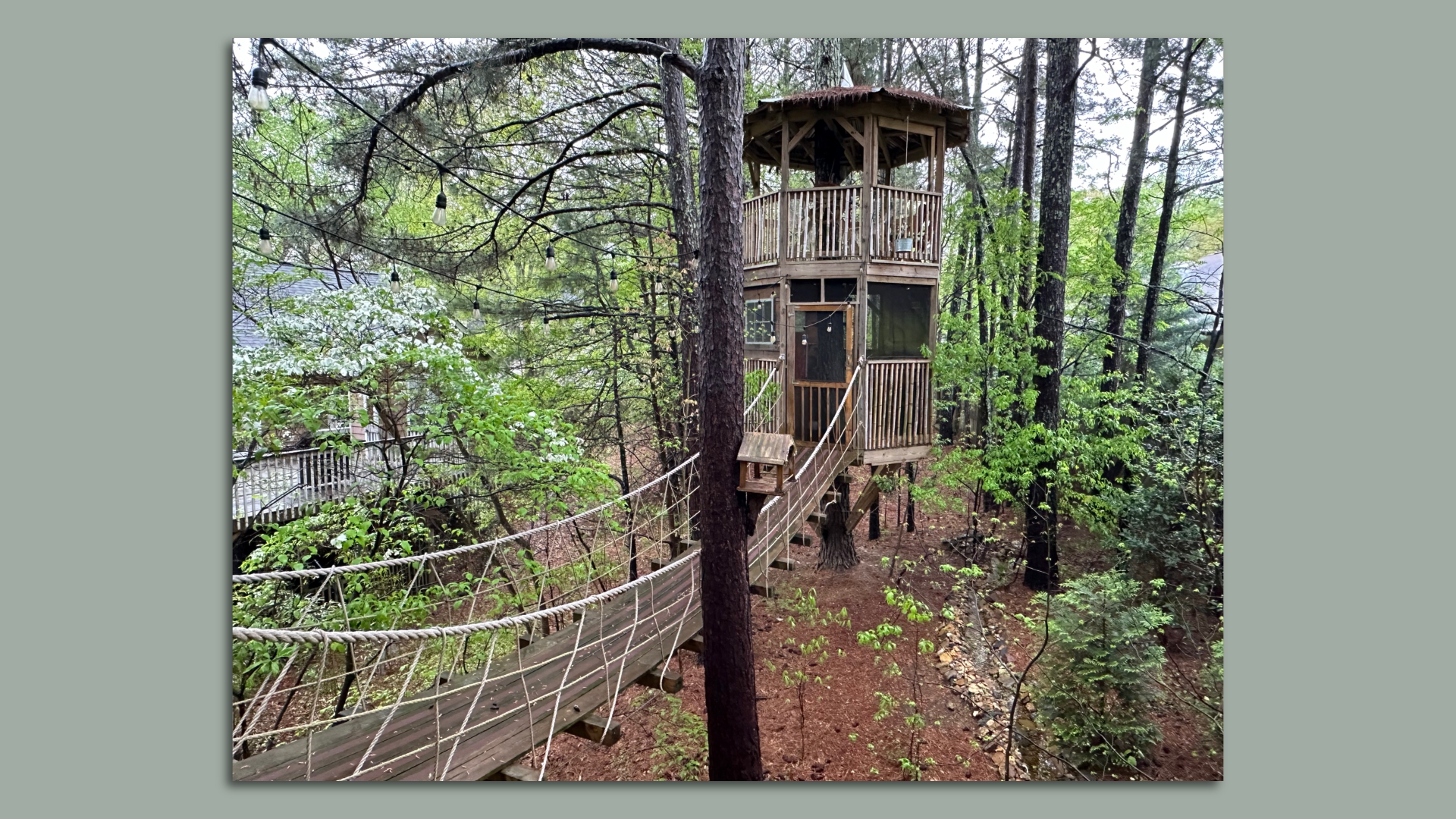 Treasure Hunt Treehouse