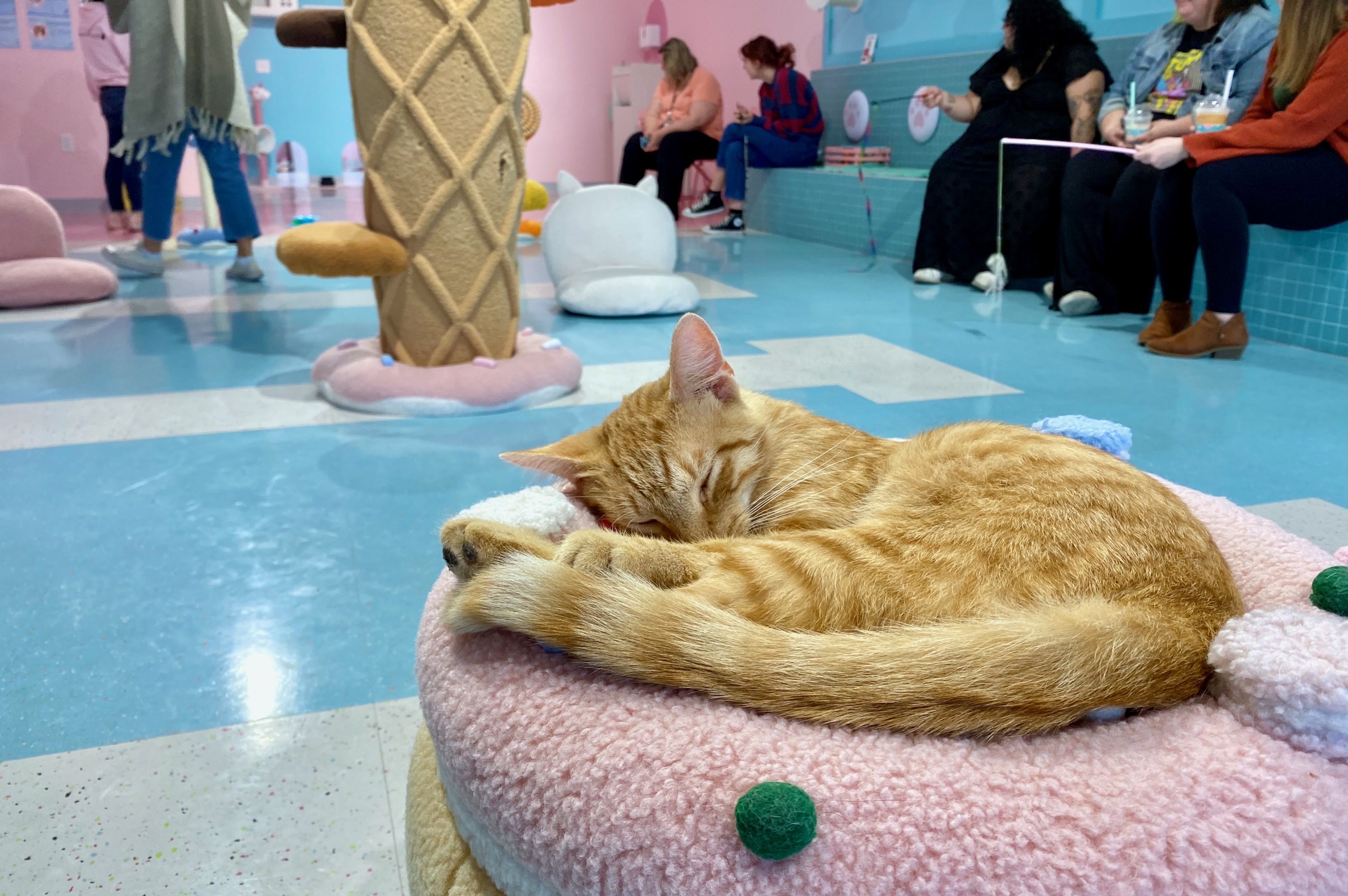 An orange cat curled up sleeping on a donut-shaped cushion