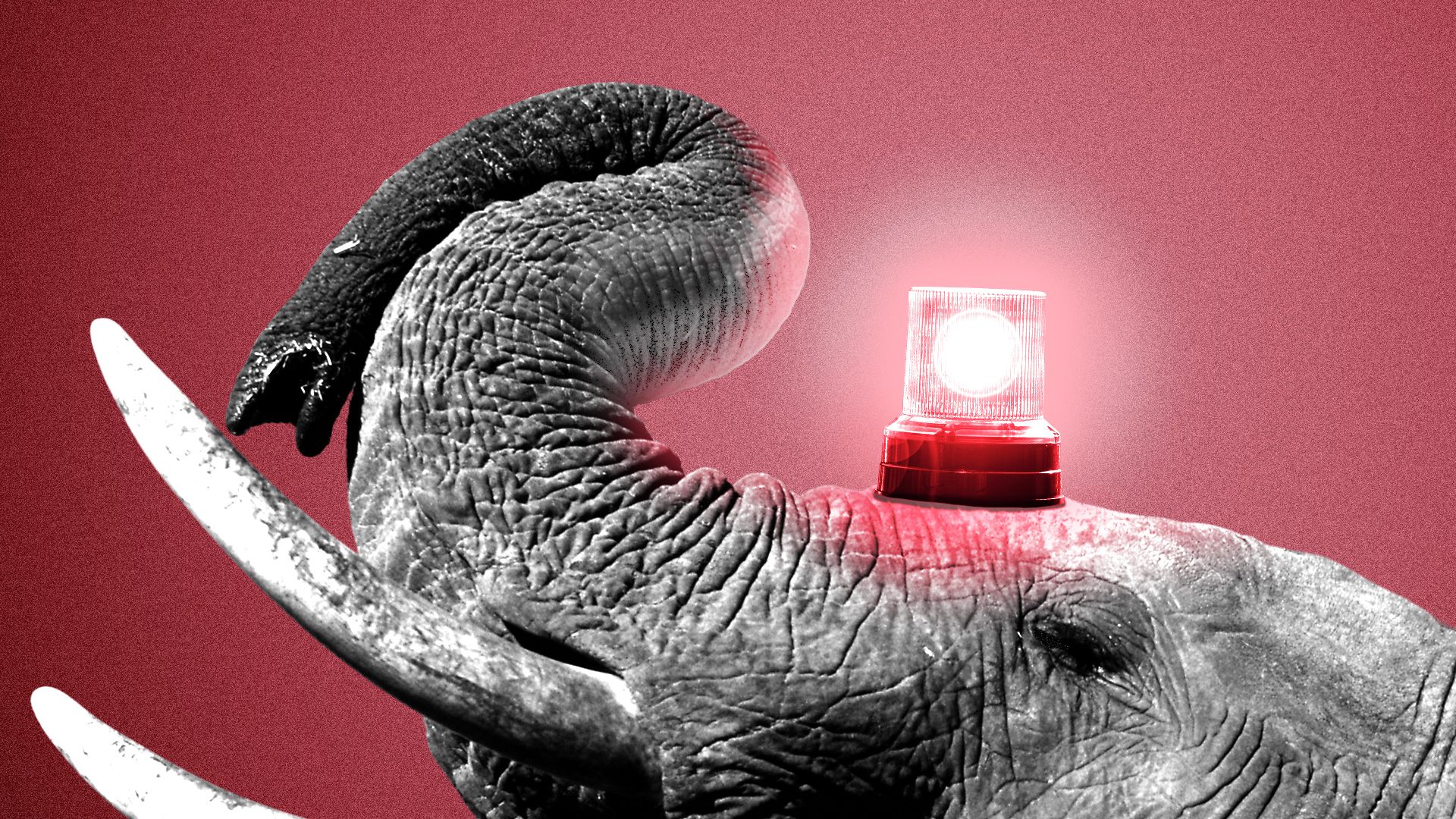 Illustration of an elephant balancing a red siren light on its head.