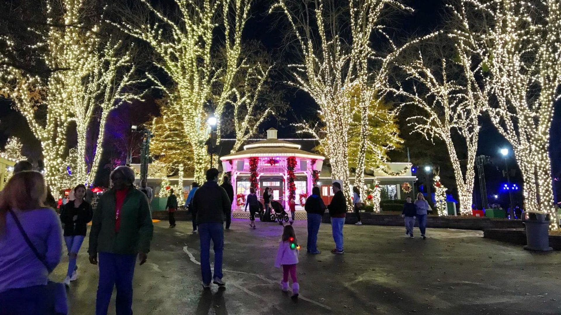 Gazebo lit up surrounded by trees also lit up for christmas