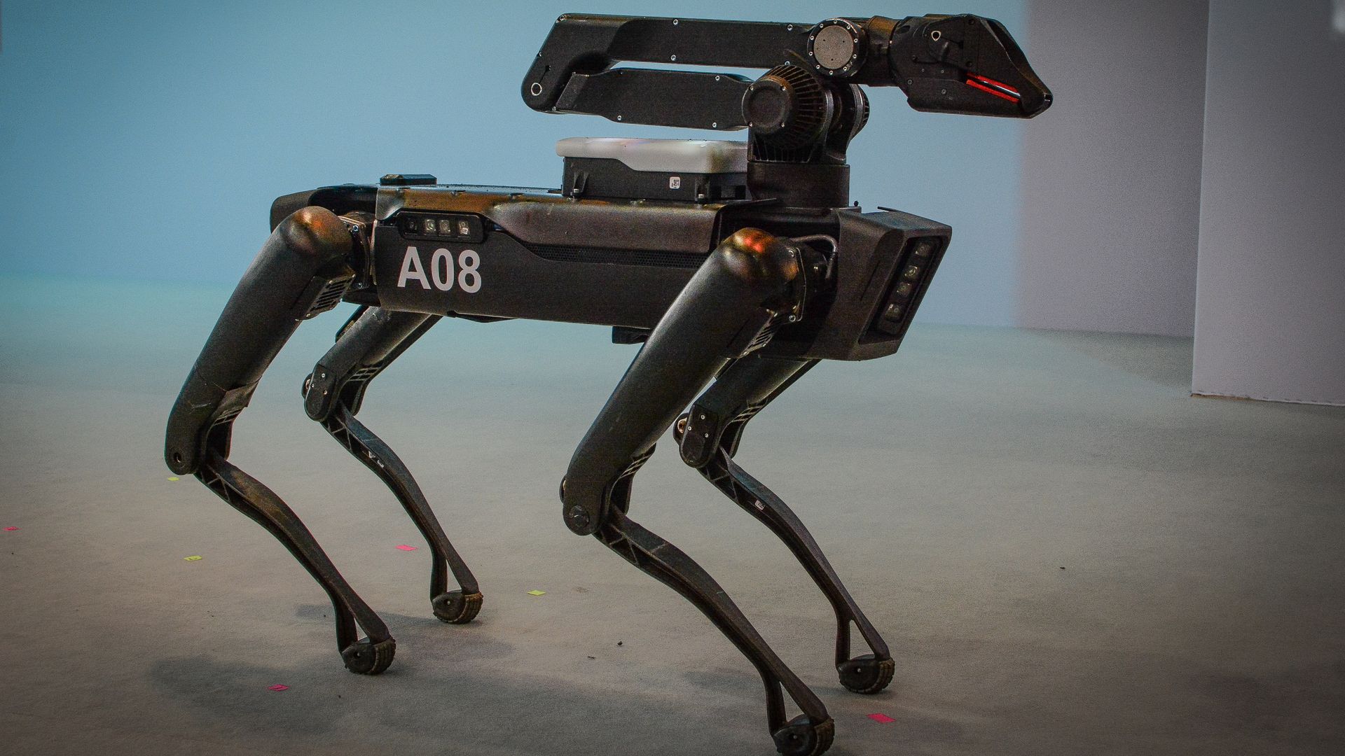 Photo of a four-legged robot.