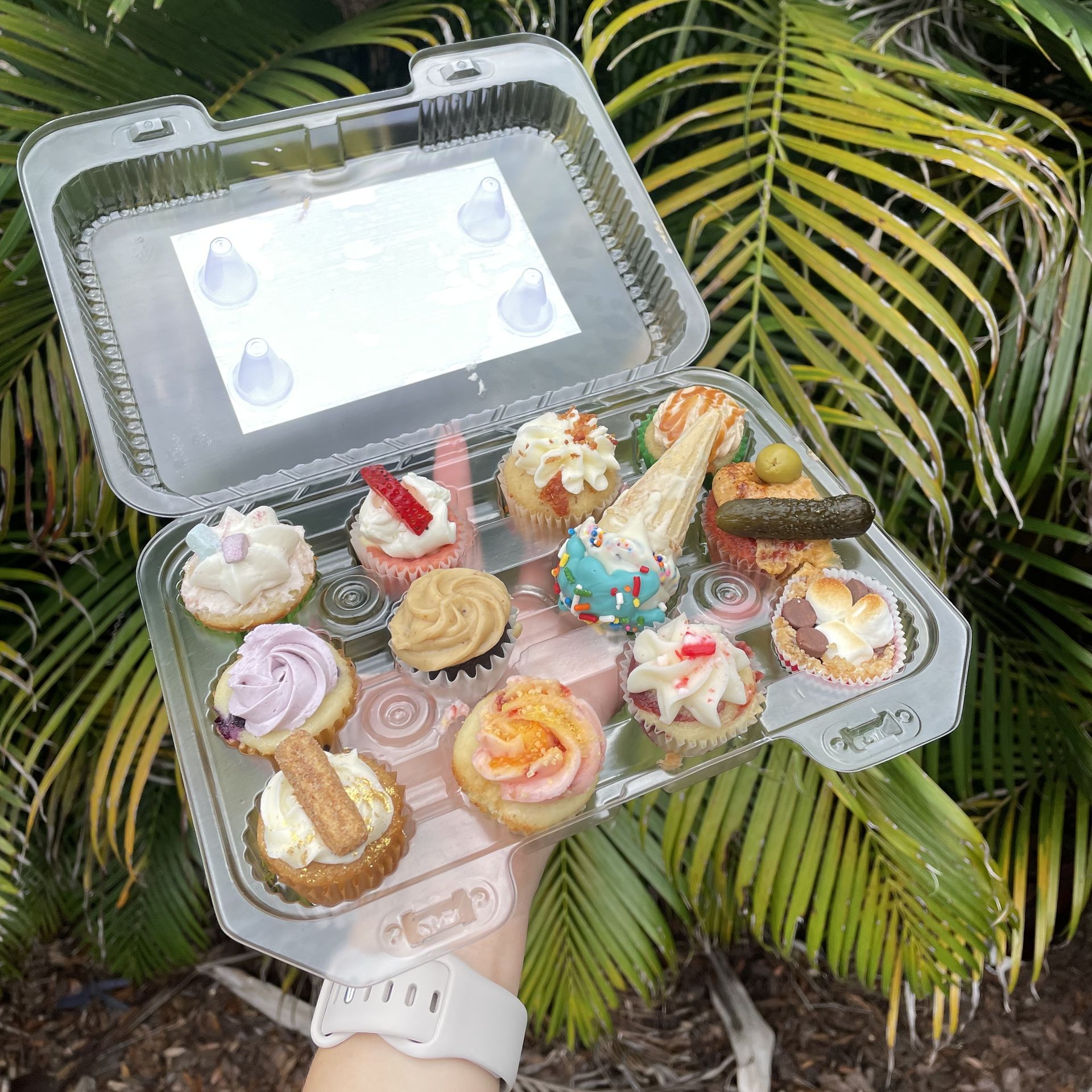 Big Top Cupcake Giveaway‏ - Life With Kathy