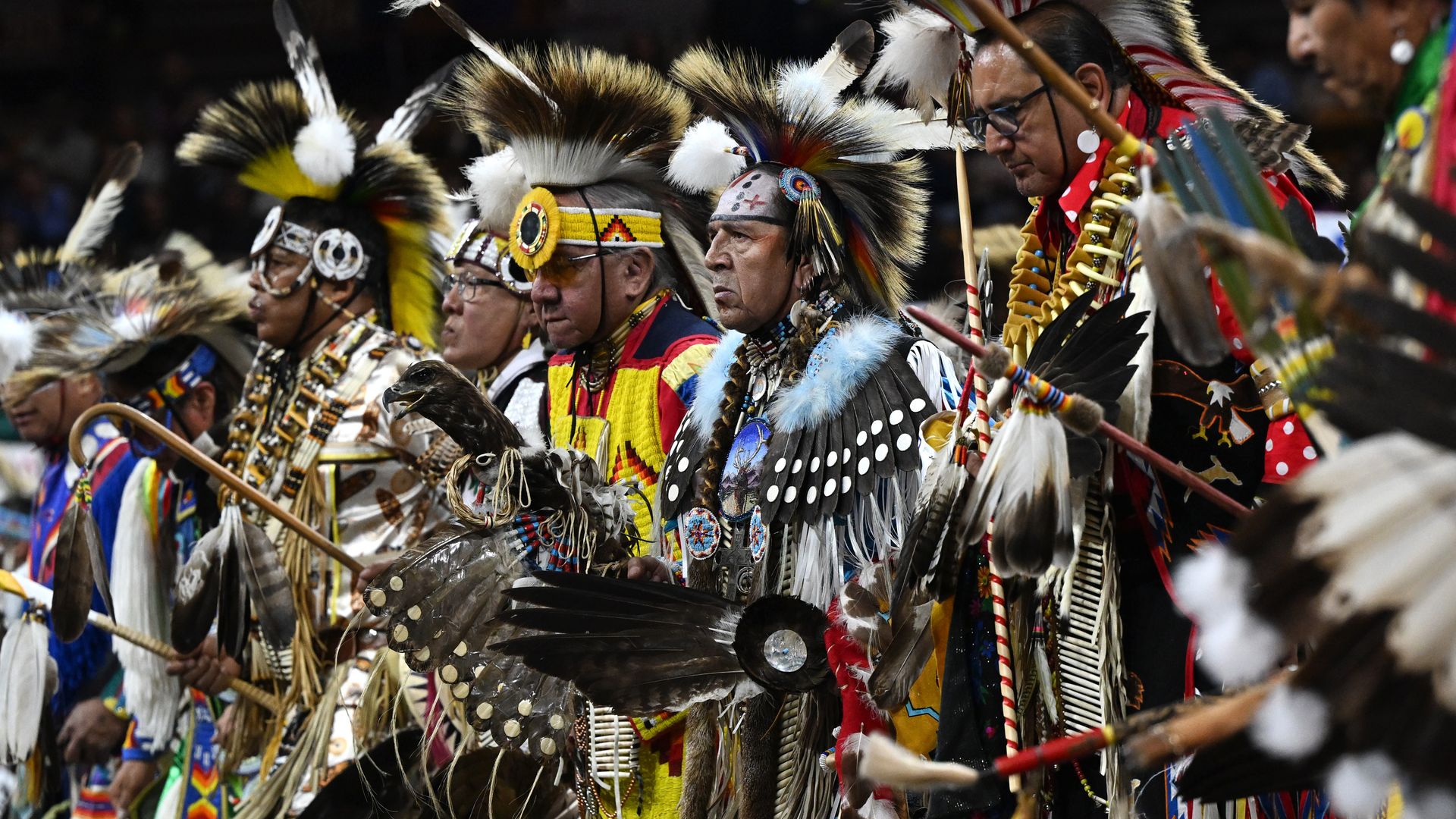 Native American dancers in vivid regalia with feather headdresses and beadwork perform in a line at a powwow.