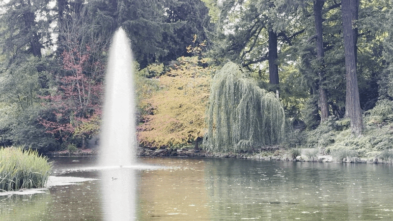Animated gif shows a fountain in the middle of a lake with trees sporting fall foliage in the background.