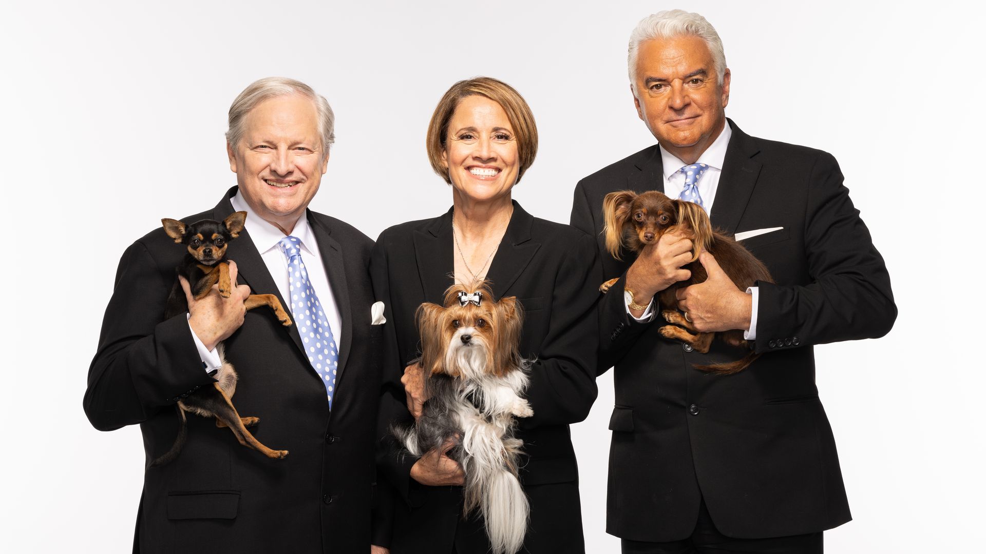 Analysts David Frei holding a Russian Toy dog, Mary Carillo with a Biewer Terrier and John O’Hurley holding another Russian Toy.