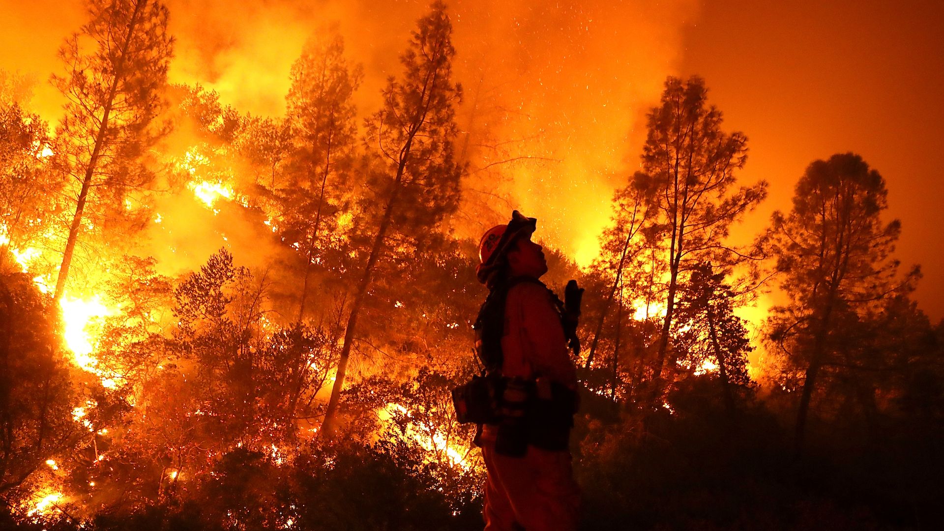 A firefighter monitors a backburn while battling the Medocino Complex Fire on August 7, 2018 near Lodoga, California. 