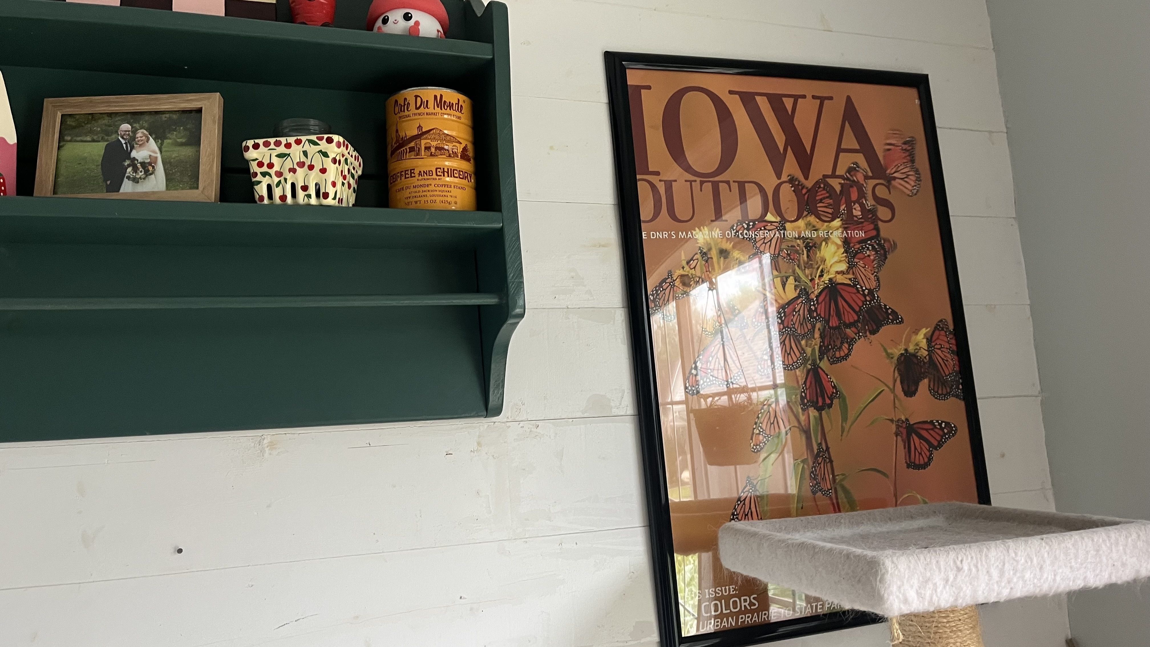 A monarch photo migration poster on a white kitchen wall
