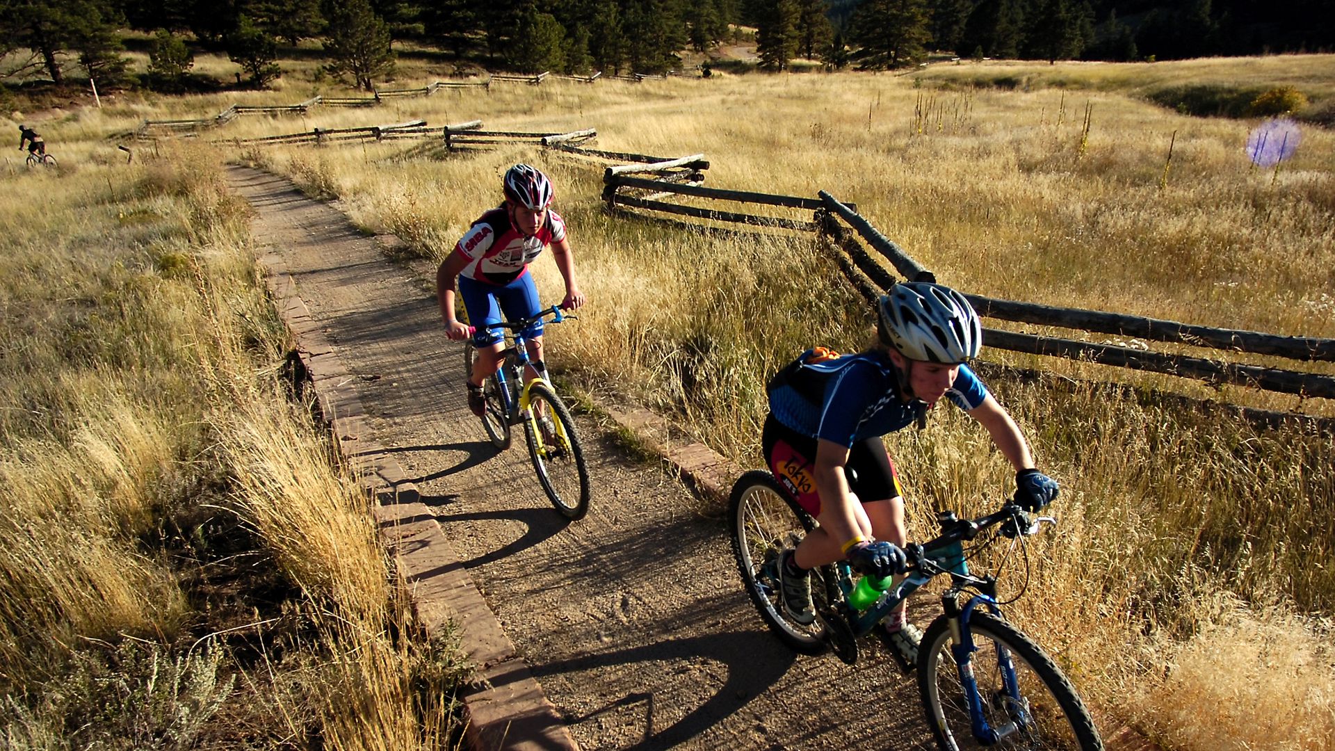 Three cyclists ride along a narrow path through a sunlit golden field with a wooden split-rail fence; two riders in colorful jerseys and helmets lead, trees in the distance.