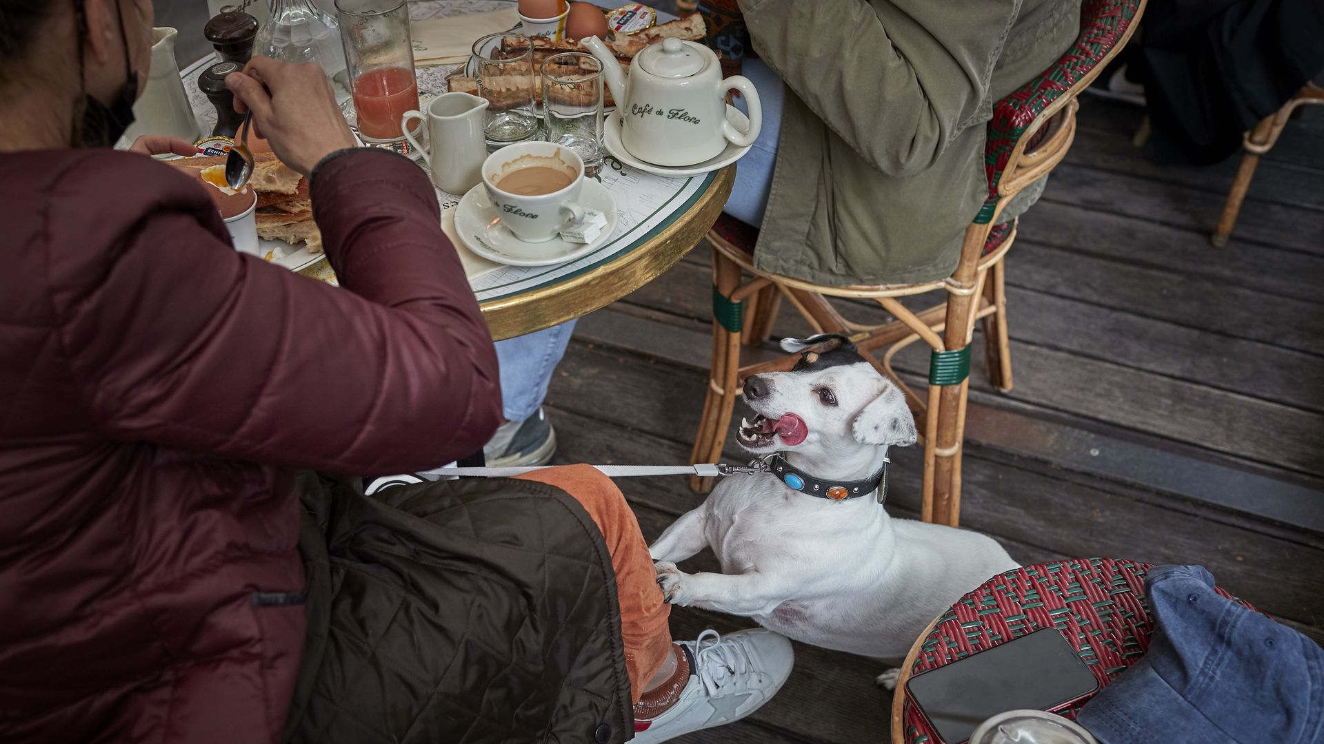 A dog looks on hungrily from the floor of an outdoor cafe as two diners have breakfast.