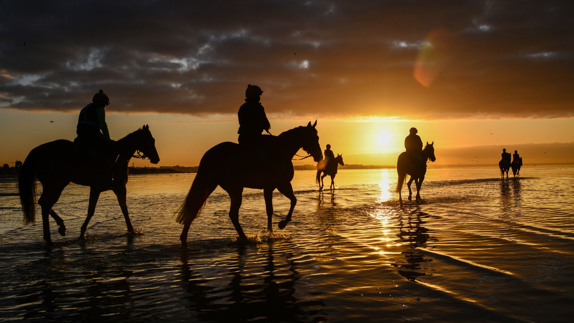 Horses on the beach