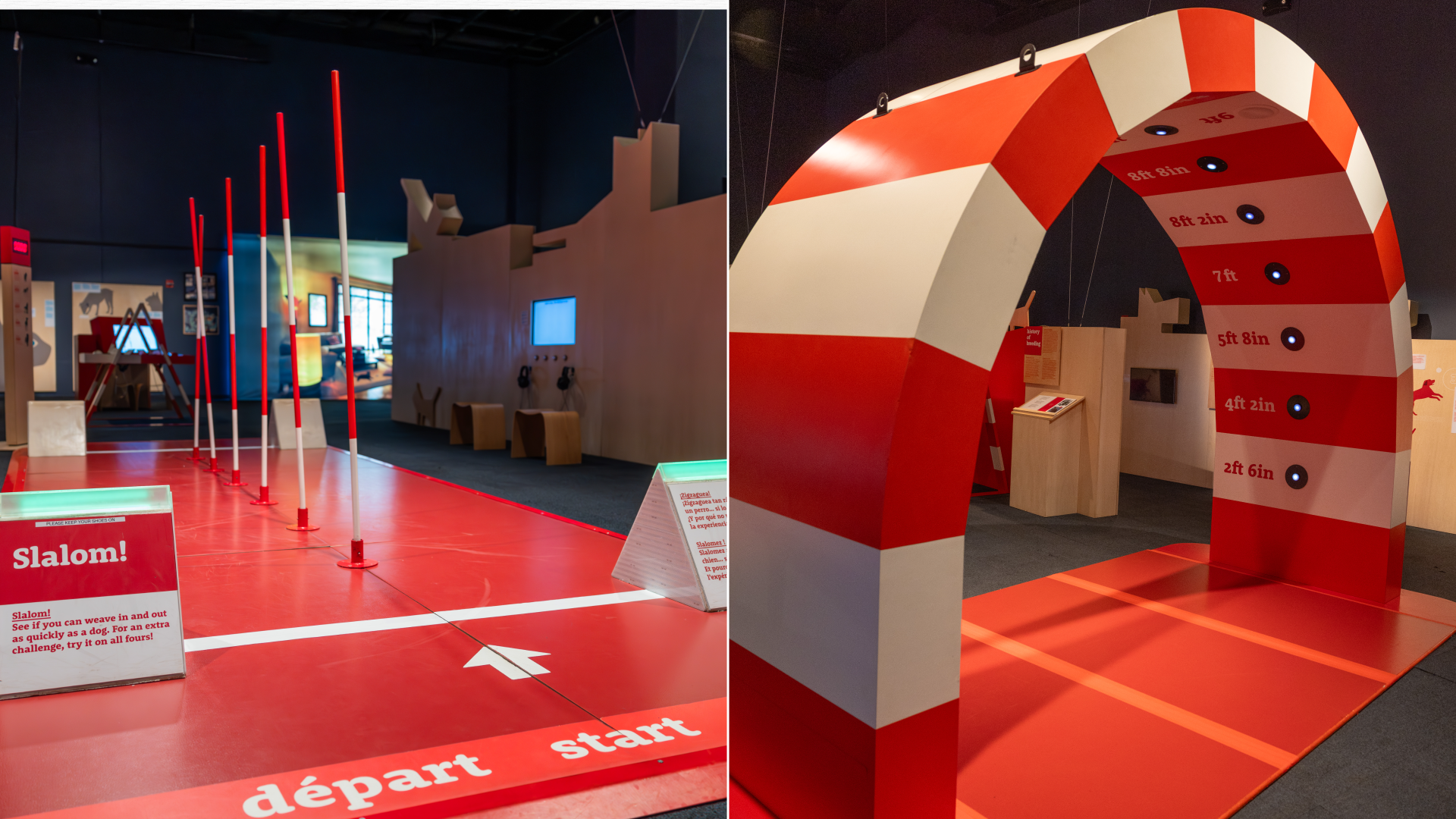 Photos of an interactive dog exhibit.