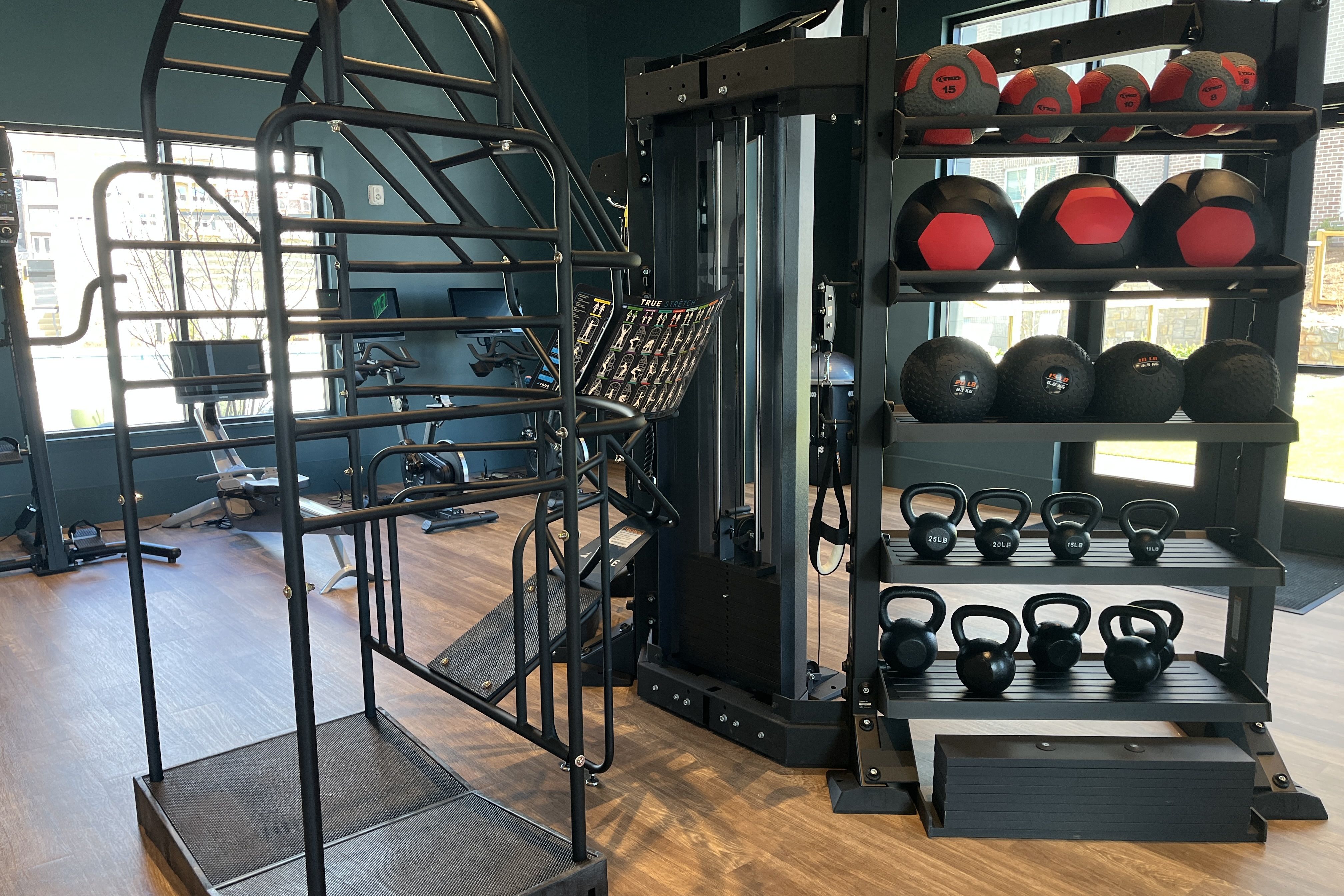 Gym interior with a black metal climbing frame and cable machine; right-side rack holds red and black medicine balls, kettlebells, and mats; wooden floor and windows in the background.