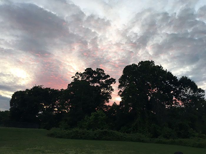 sedgefield-park-sunset