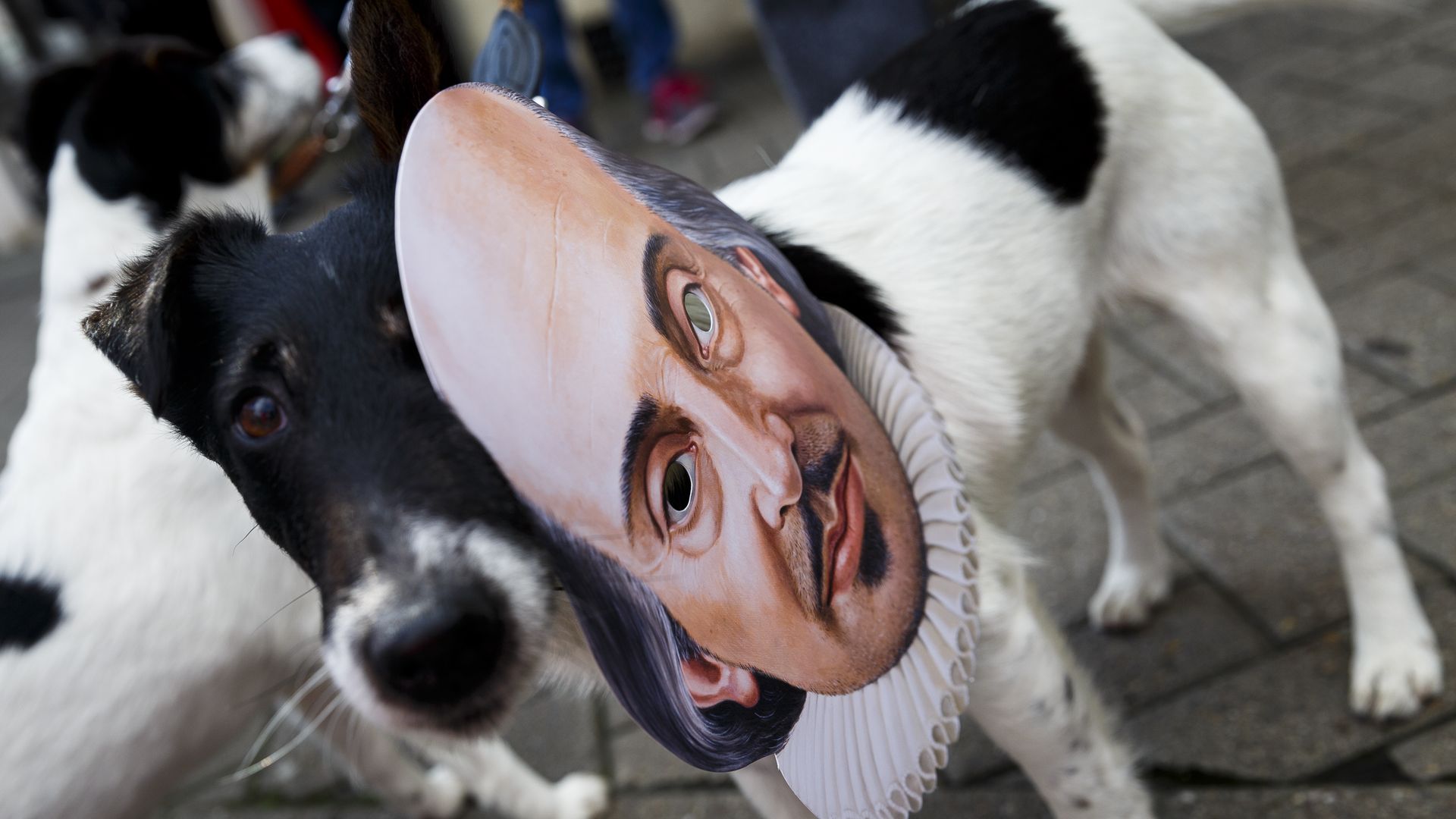 Black and white dog wearing a paper mask of a man with a ruffled collar, partially obscuring the dog's face, standing on a paved surface with another dog in the background.