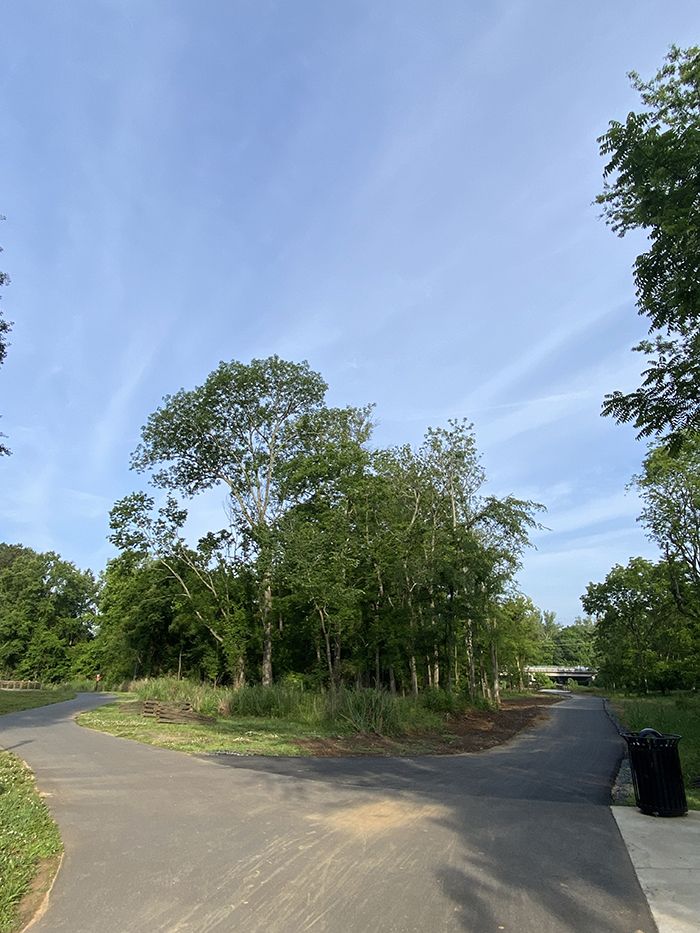 New 3 mile stretch of Little Sugar - 1704509947247 