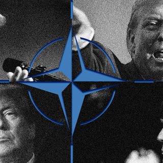 NATO allies launch Arctic drills as Trump eyes Greenland