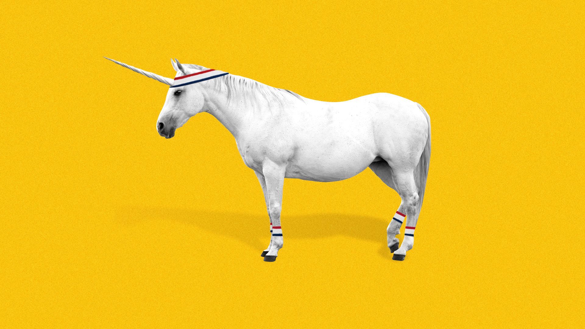 An NBA unicorn.