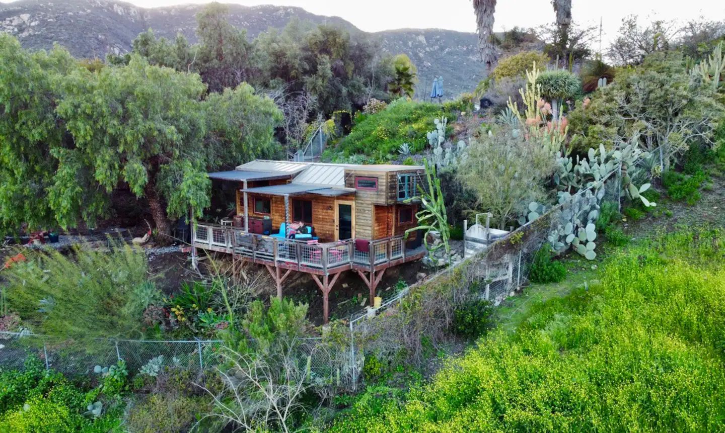 A wooden tiny house with large cactus and succulent gardens sits on a lush green hillside. 