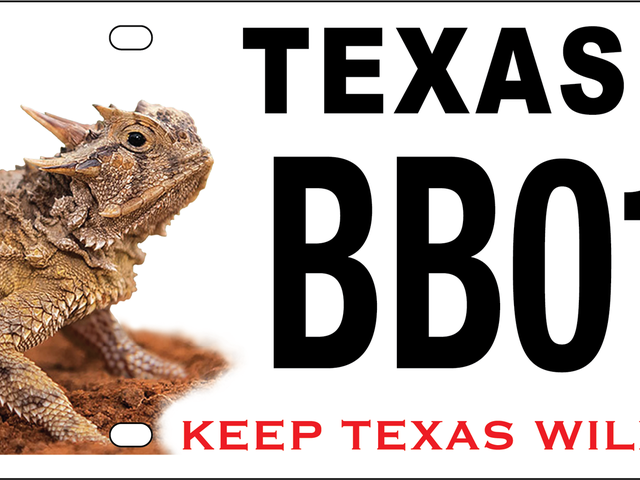 How to buy Texas' new horned lizard license plate - Axios San Antonio