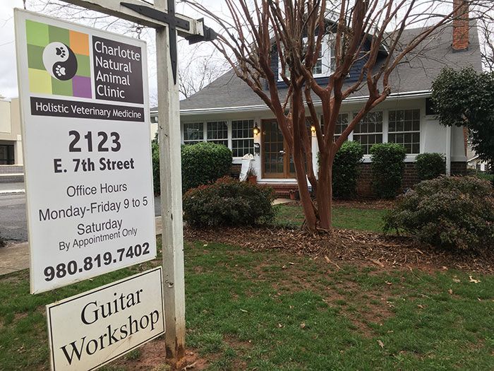 There’s a vet in Elizabeth who offers animal acupuncture and it’s