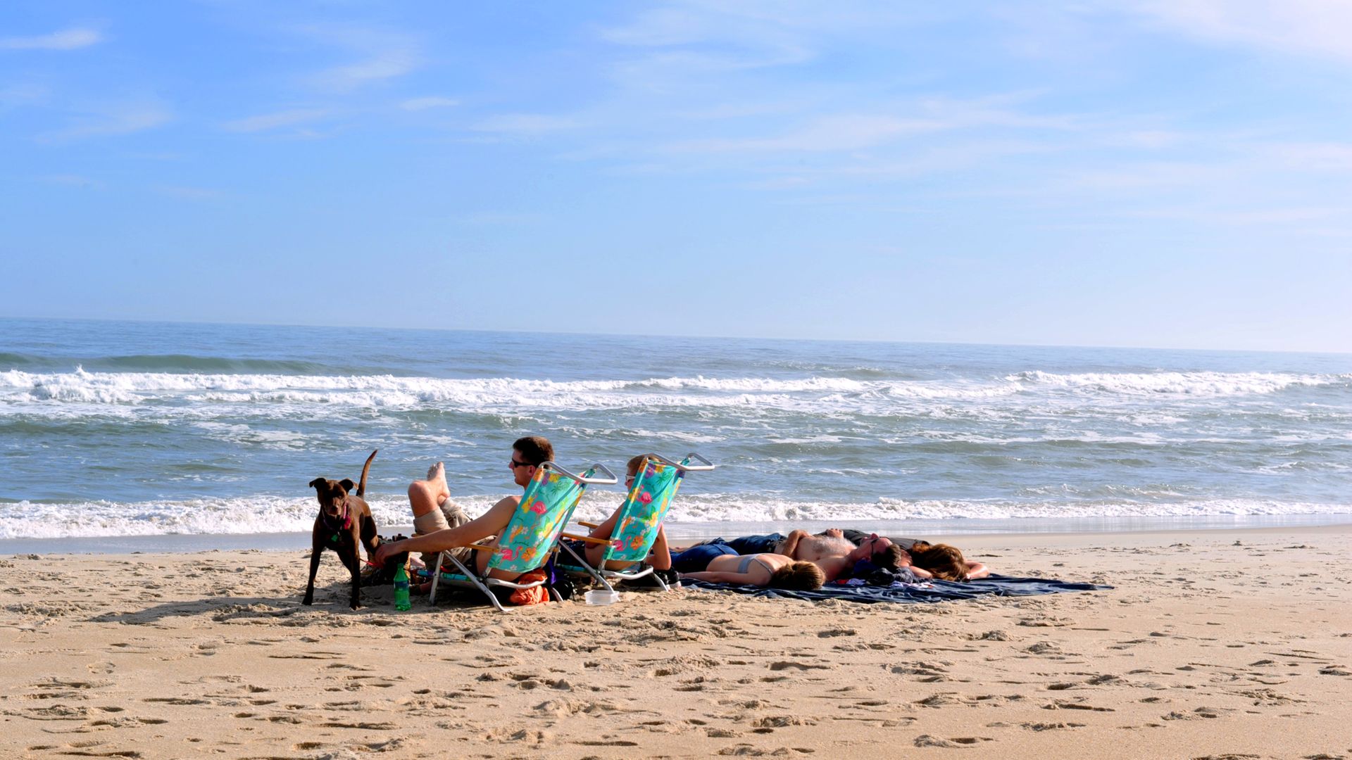 A photo of people sitting with a dog on a beach.