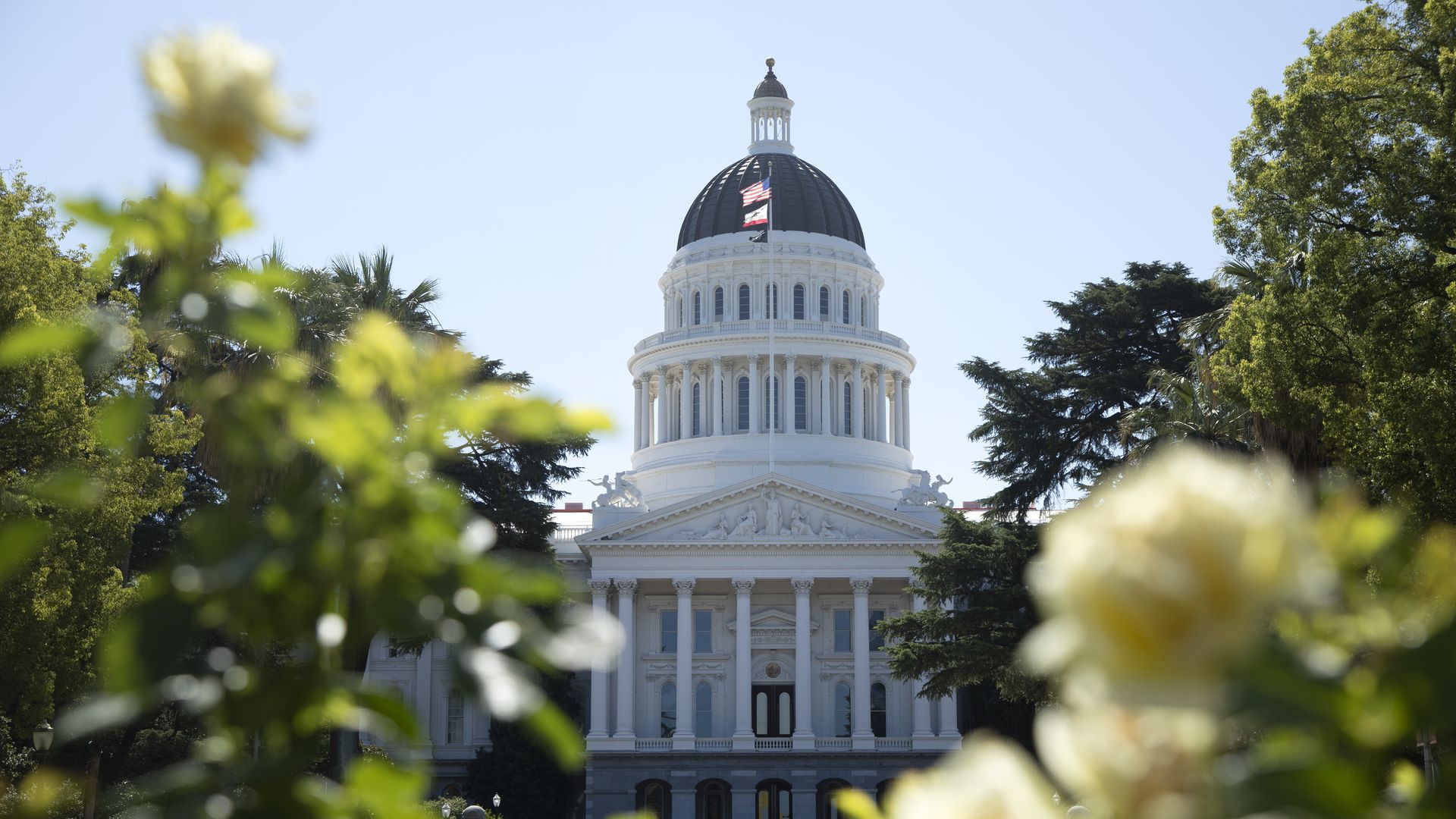 Outside California's state capitol building in Sacramento