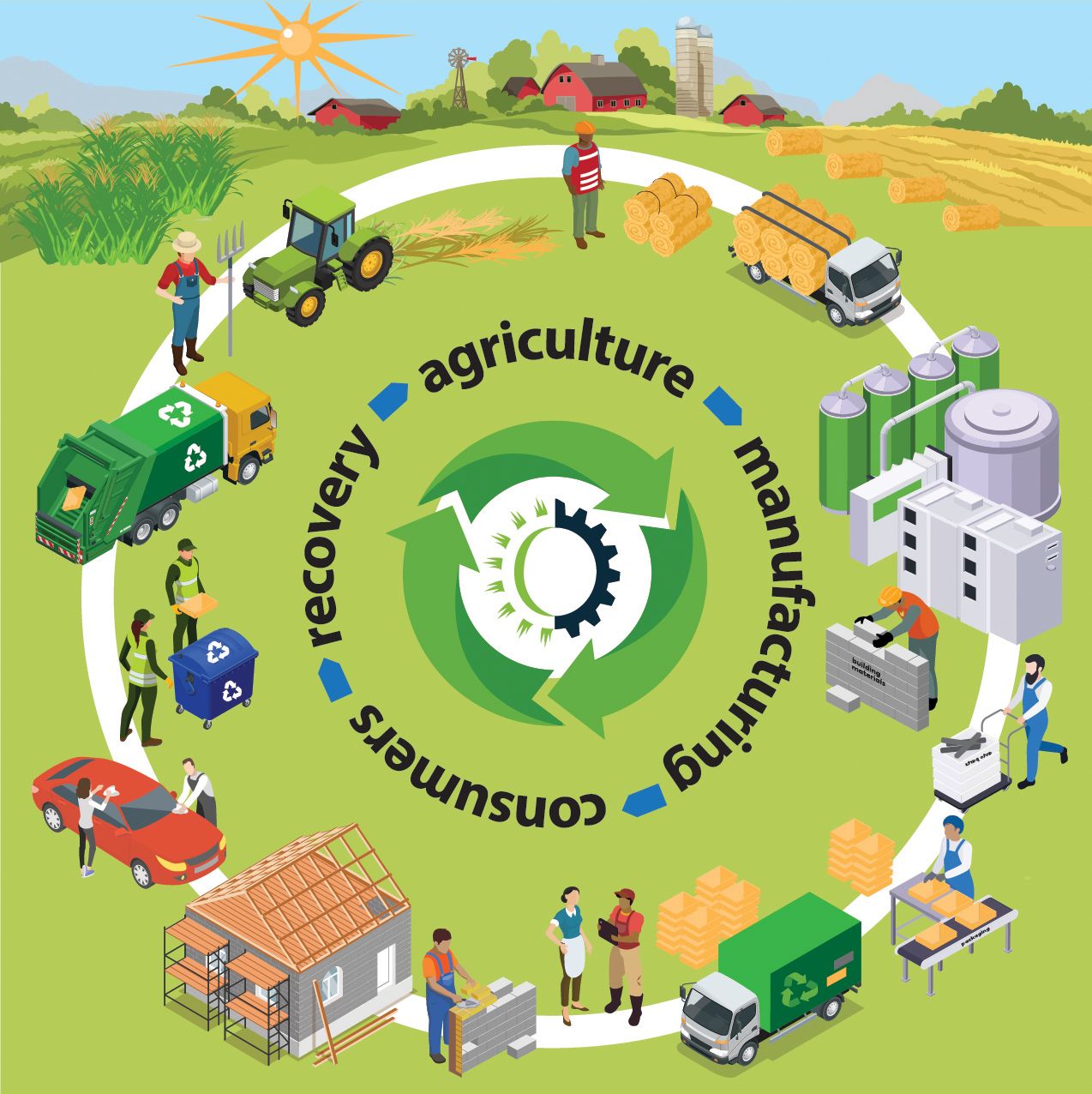 An infographic detailing the "circular" sustainable economy as part of a research project to turn grasses into materials for manufacturing.