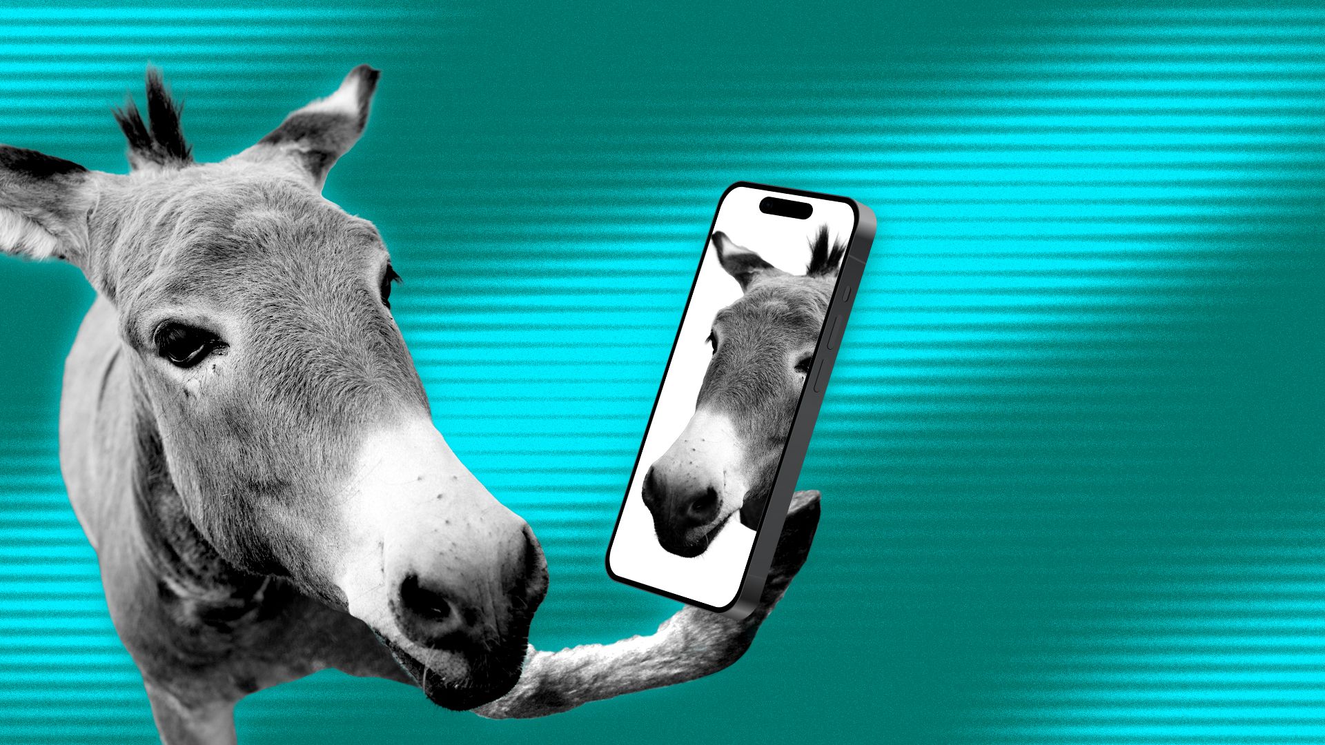 Illustration of a donkey holding a smartphone up to its face, which is reflected in the screen.