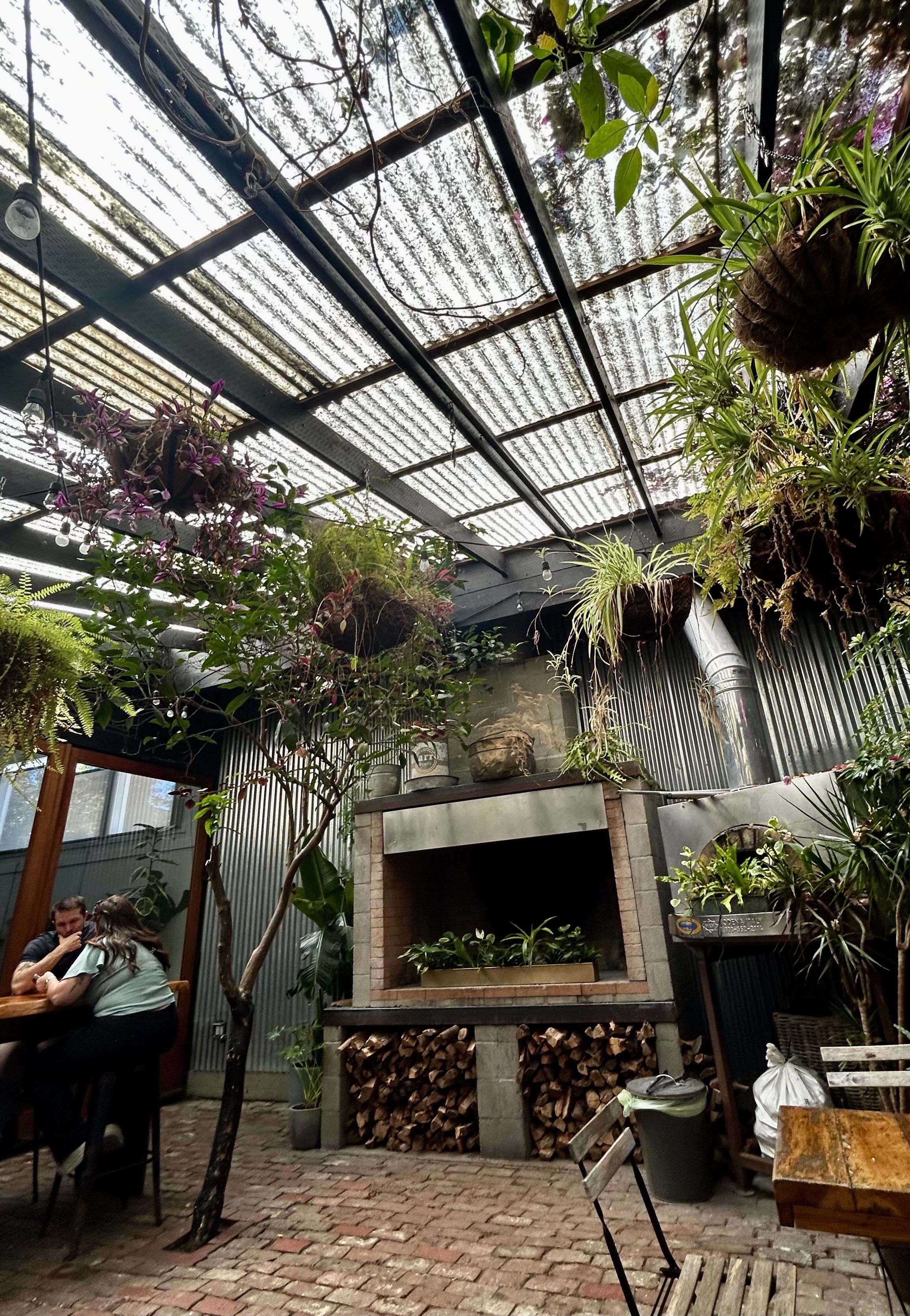 Photo of a luscious indoor space with plants hanging from the ceiling