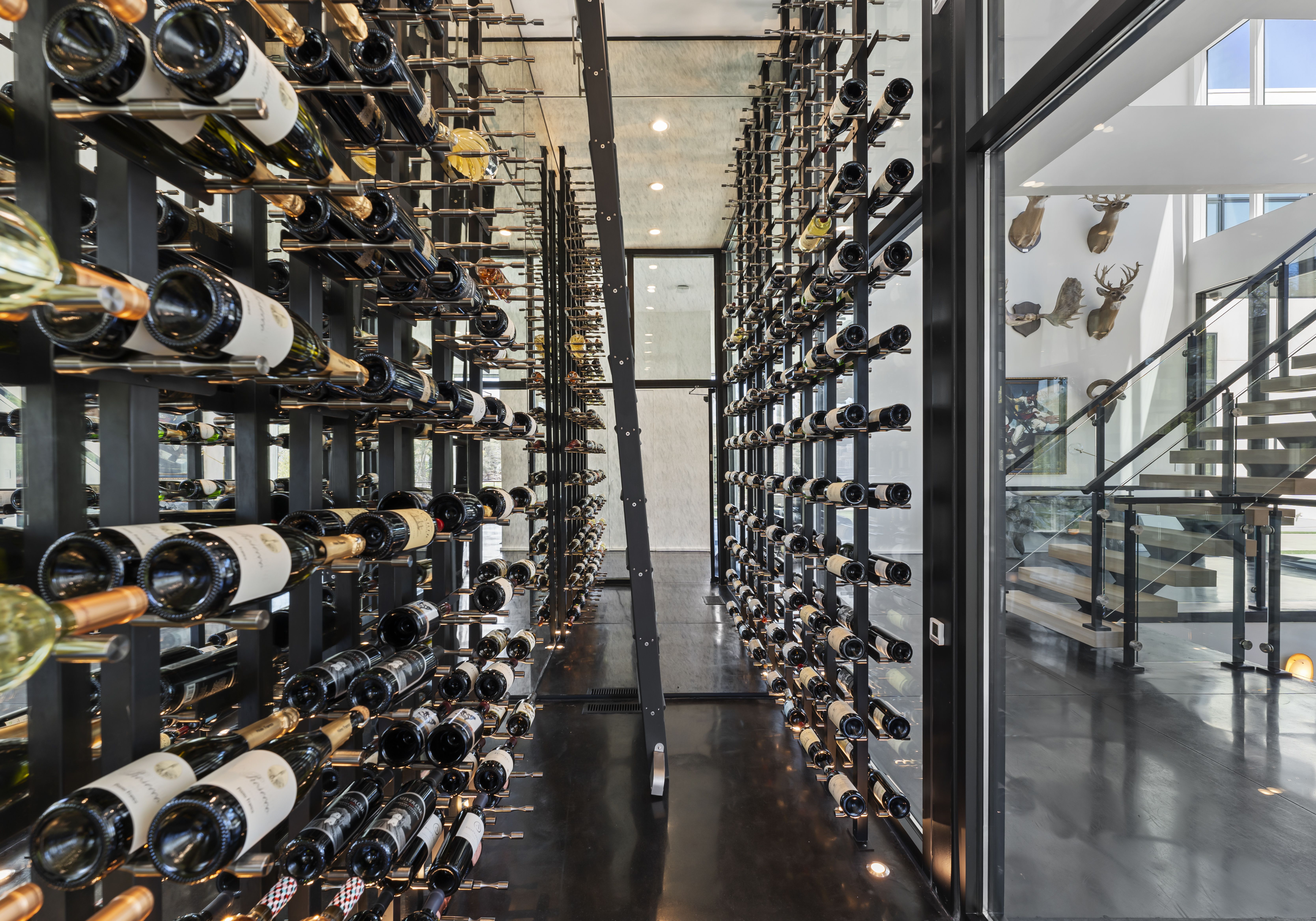 Modern wine cellar with black metal racks holding numerous wine bottles, glass walls, polished dark floor, and a staircase with glass railing in adjoining well-lit room with animal head mounts on white wall.