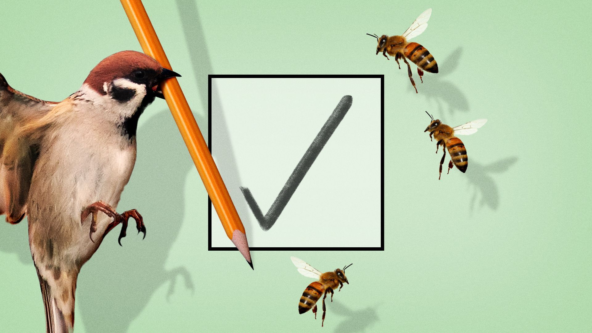 Illustration of birds and bees filling out a checkmark.
