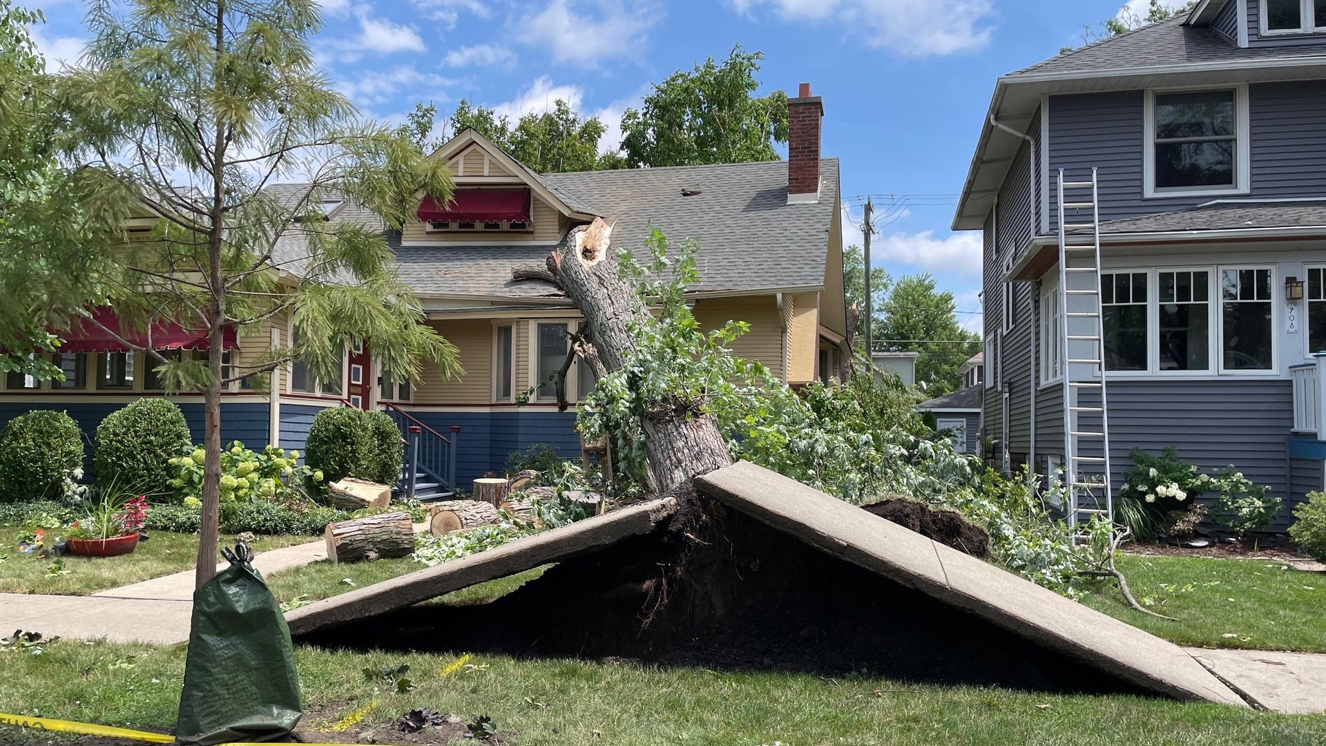Chicago trees take brunt of damage from Monday night derecho - Axios ...