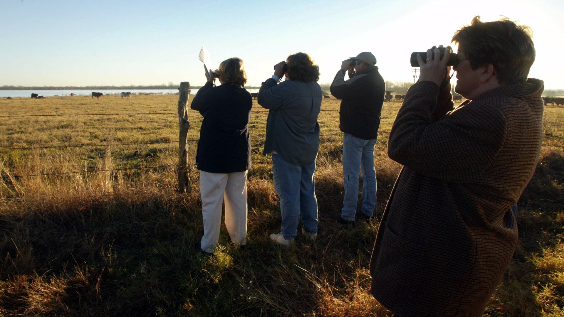 Photo of four people with binoculars looking for birds. 