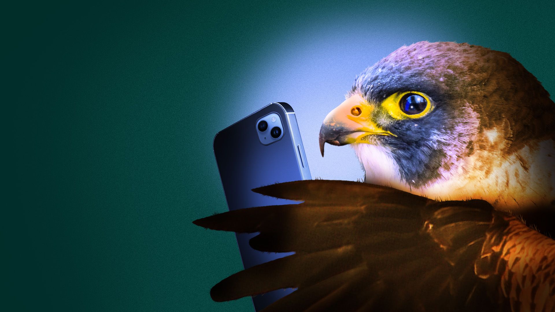 Illustration of a falcon reading news from a smart phone